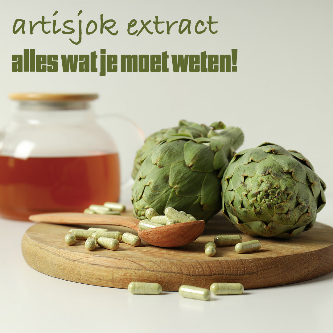 Is artisjok extract gezond?