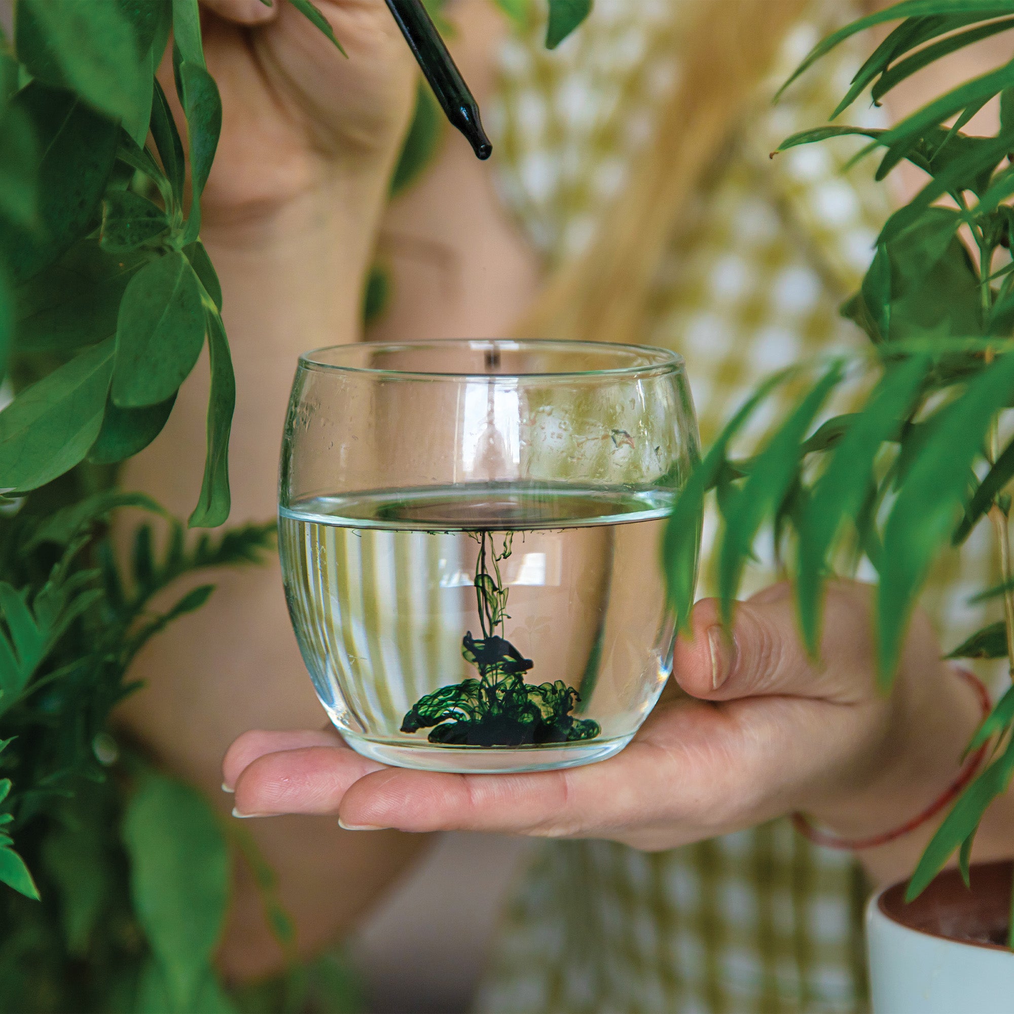 Chlorophyll: Ihr Leitfaden für Anwendung, Einnahme und Dosierung