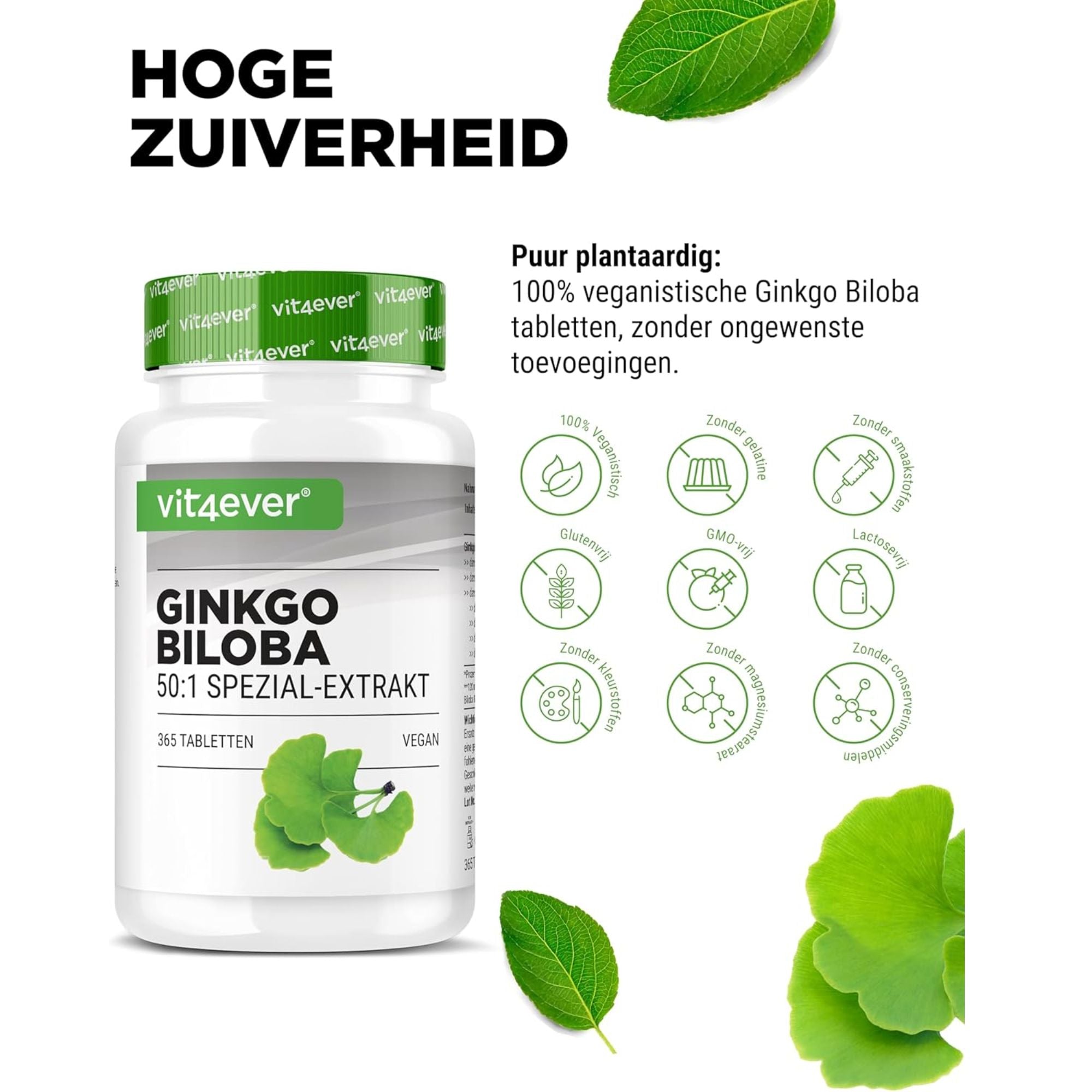 Vit4ever Ginkgo biloba 6000