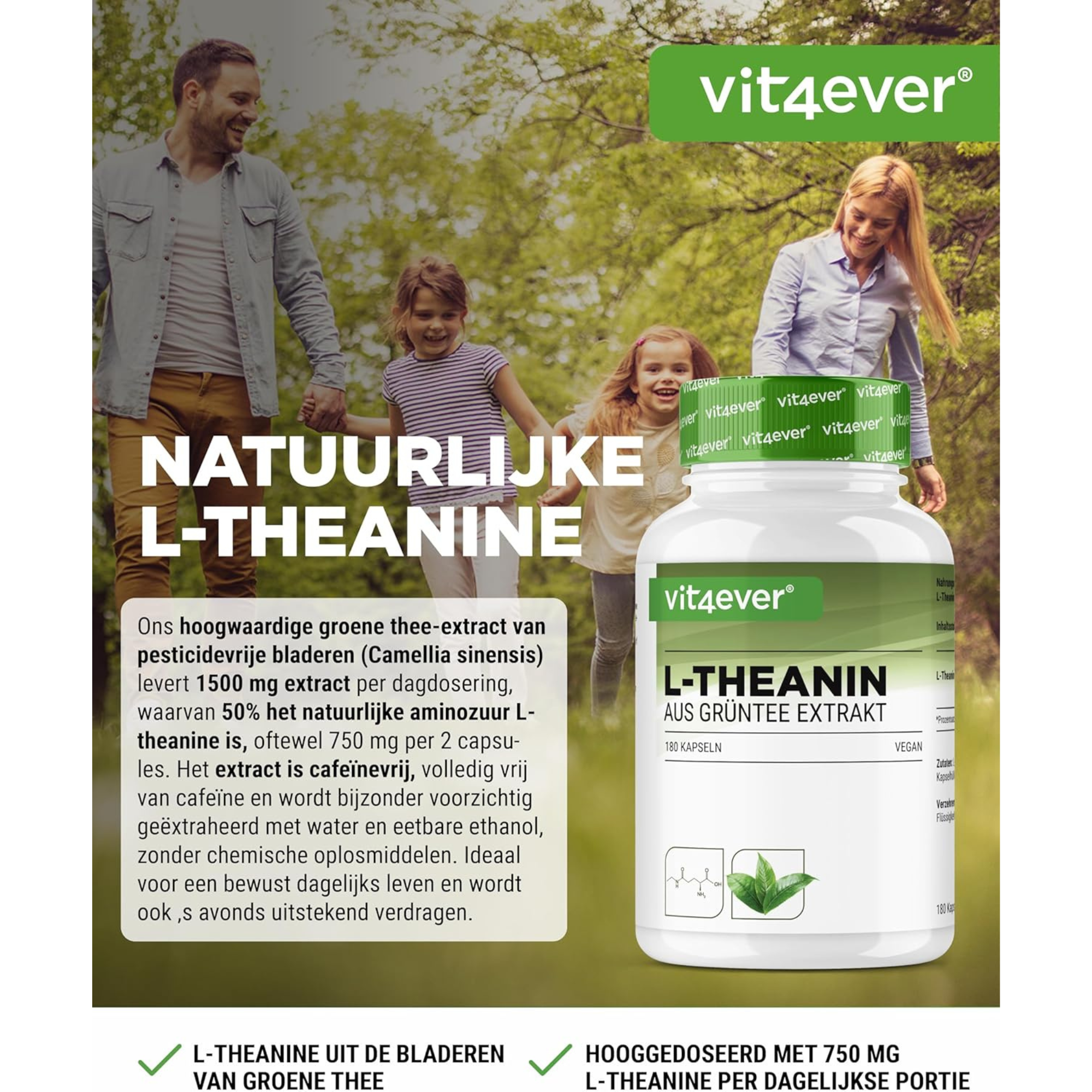 L-Theanine 750 mg | Groene thee extract | 180 capsules | Vit4ever