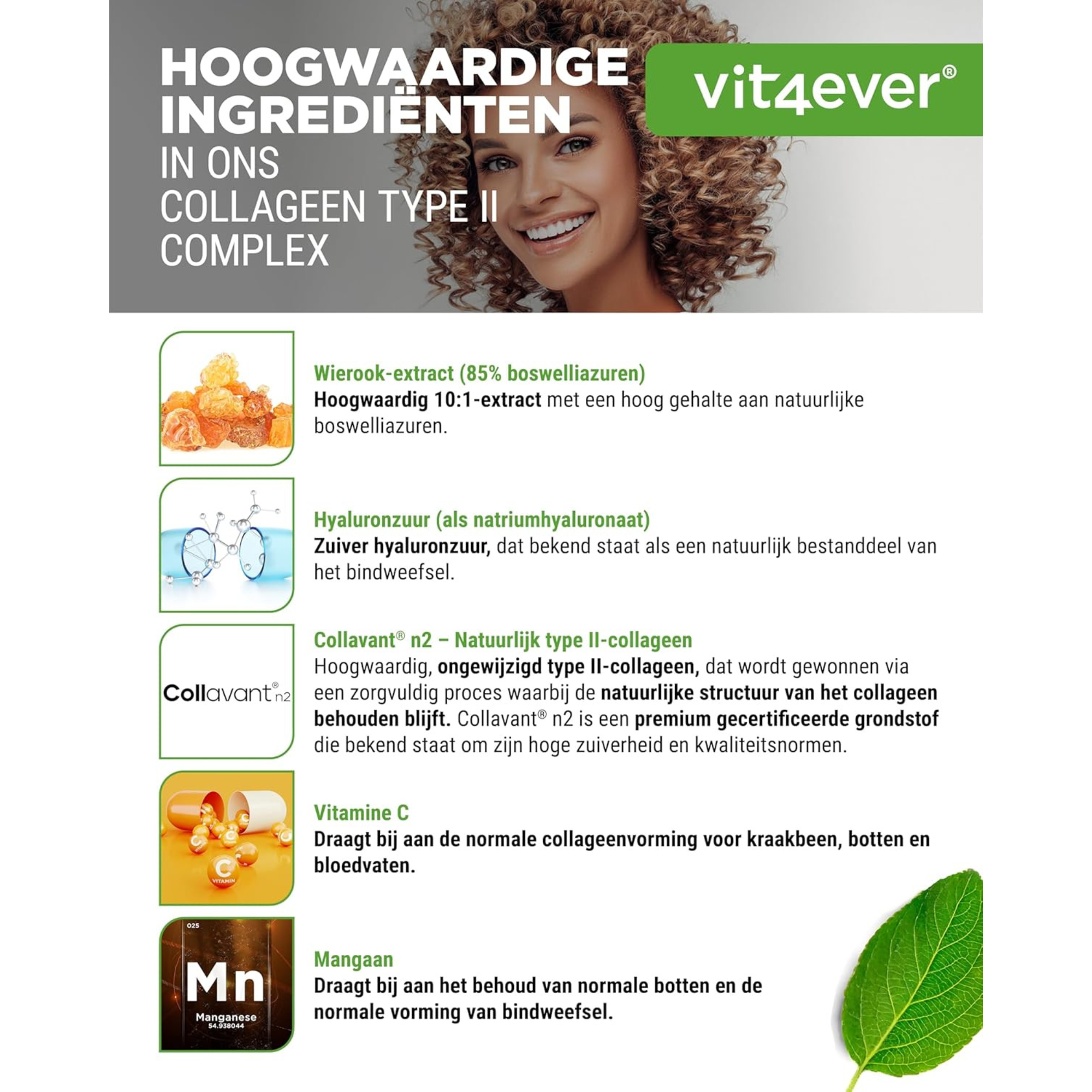 Collavant® n2 | Collageen Type 2 Complex | 60 capsules | Vit4ever
