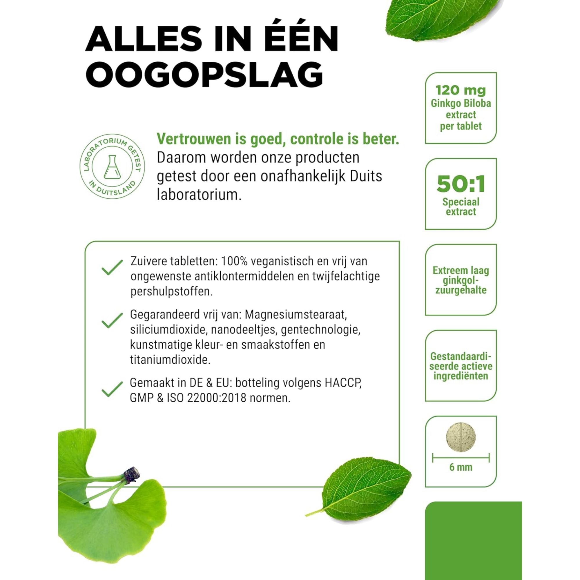 Vit4ever Ginkgo biloba 6000