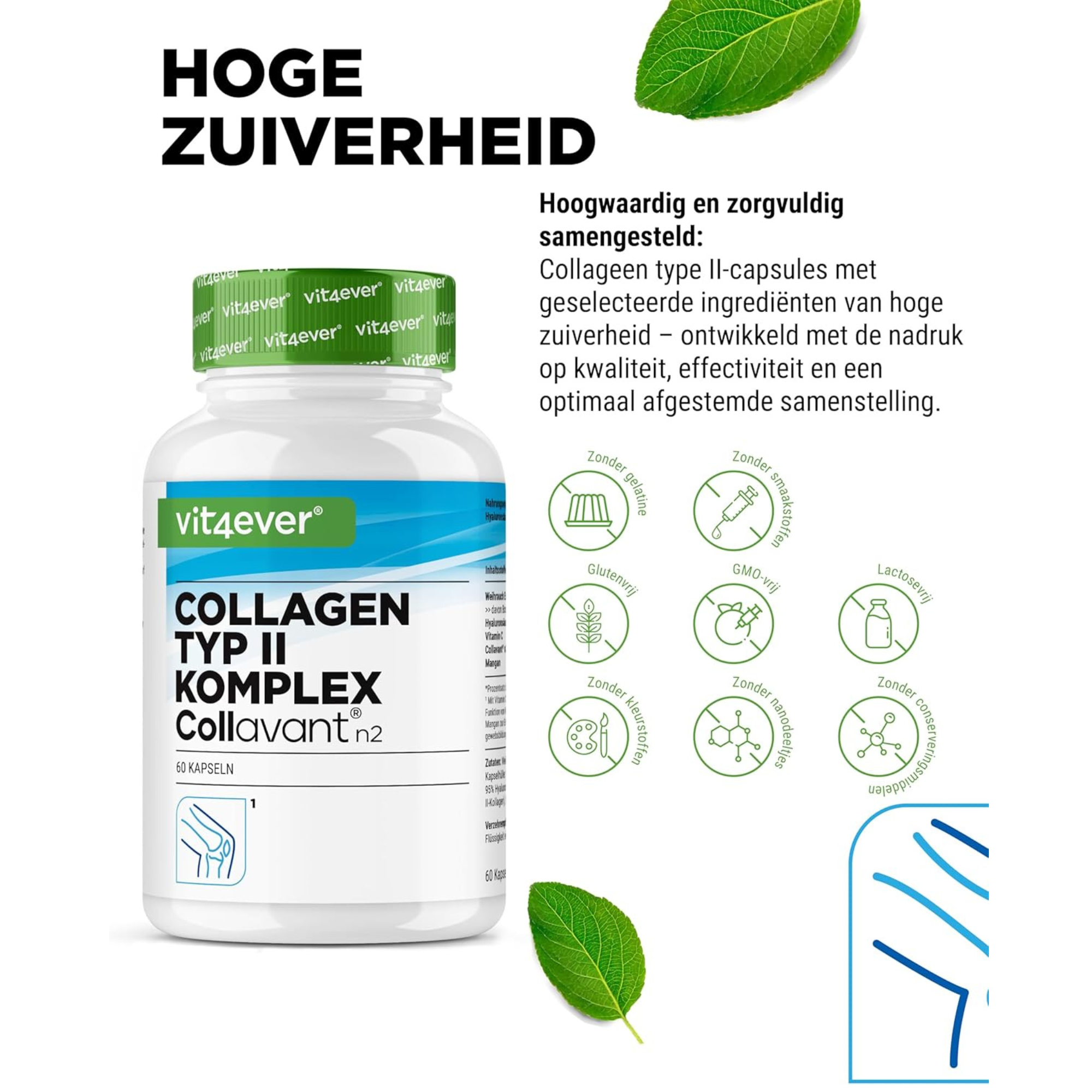 Collavant® n2 | Collageen Type 2 Complex | 60 capsules | Vit4ever