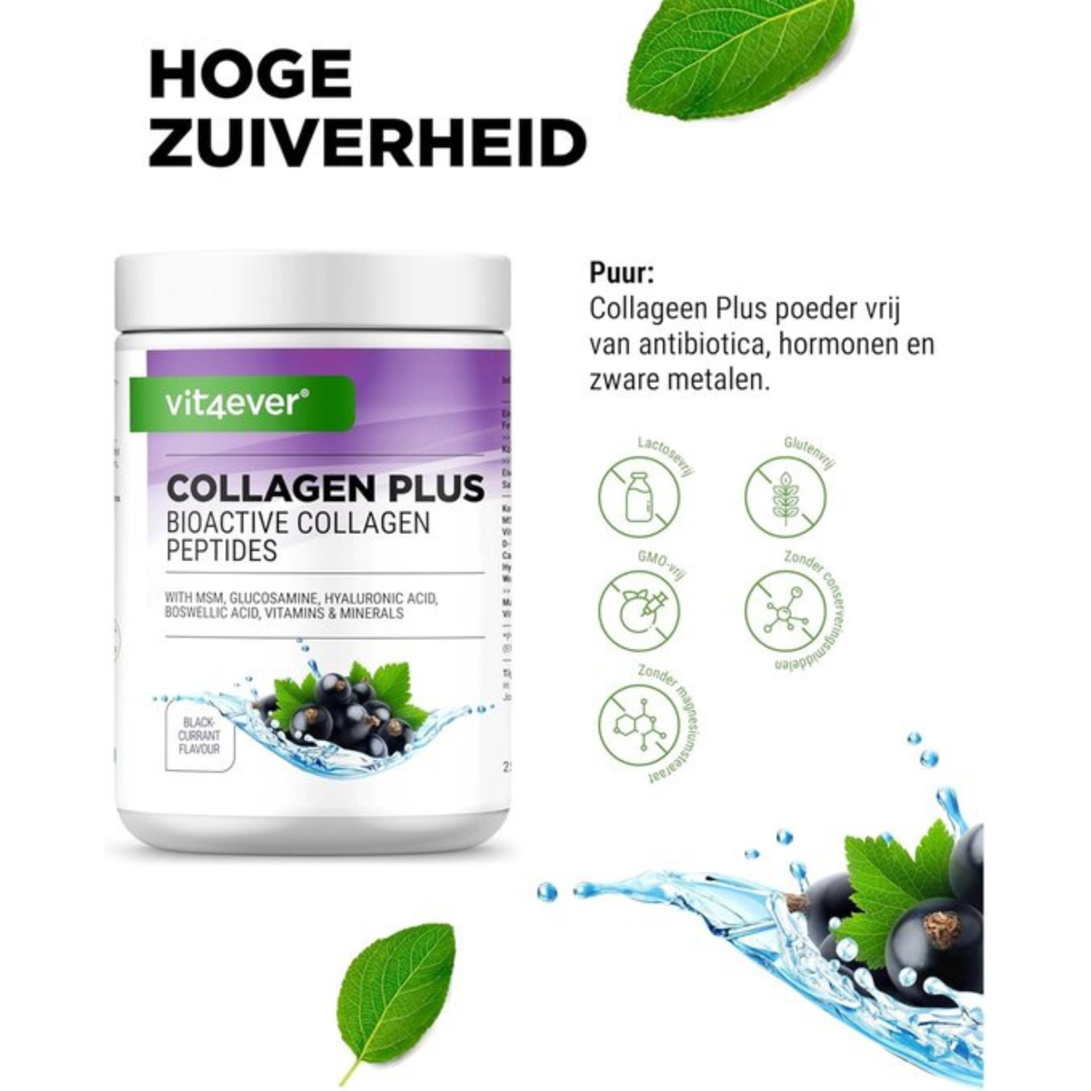 Vit4ever Collageen Plus Zwarte Bes - met hoogwaardige collageenpeptiden