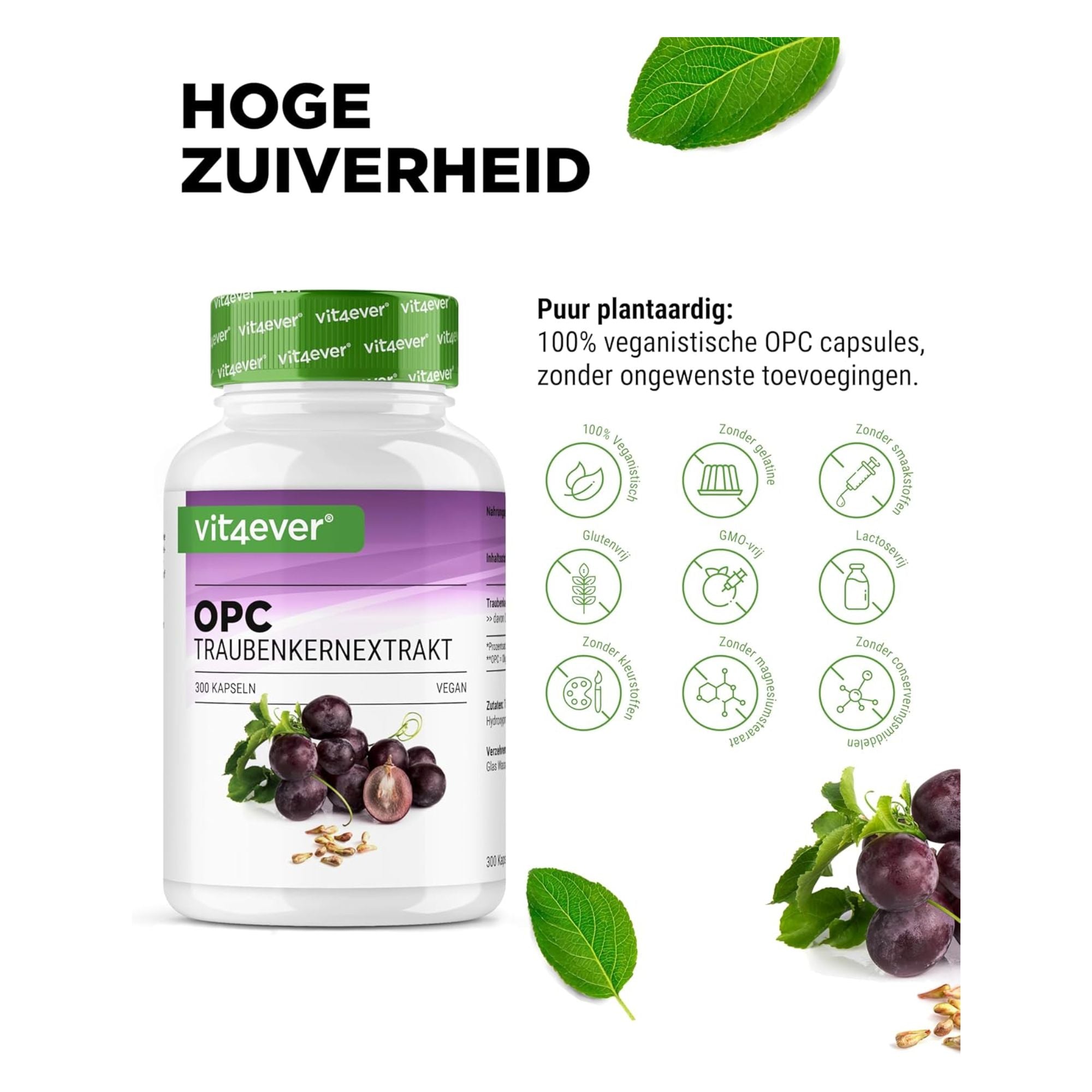 vit4ever OPC Druivenpit extract