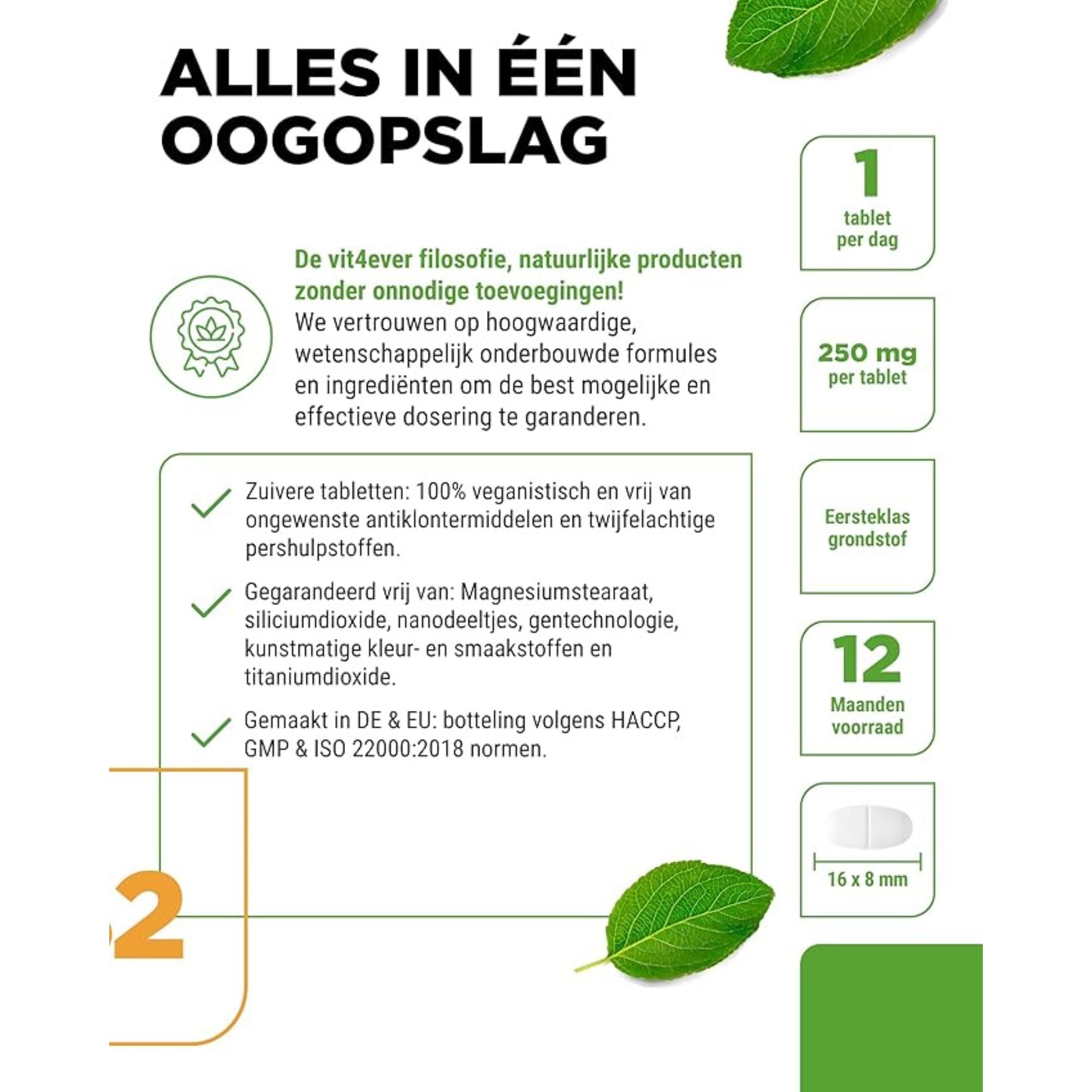 Overzicht van Vit4ever Vitamine B2-supplement met kenmerken zoals veganistische samenstelling, hoge dosering en 12 maanden voorraad.