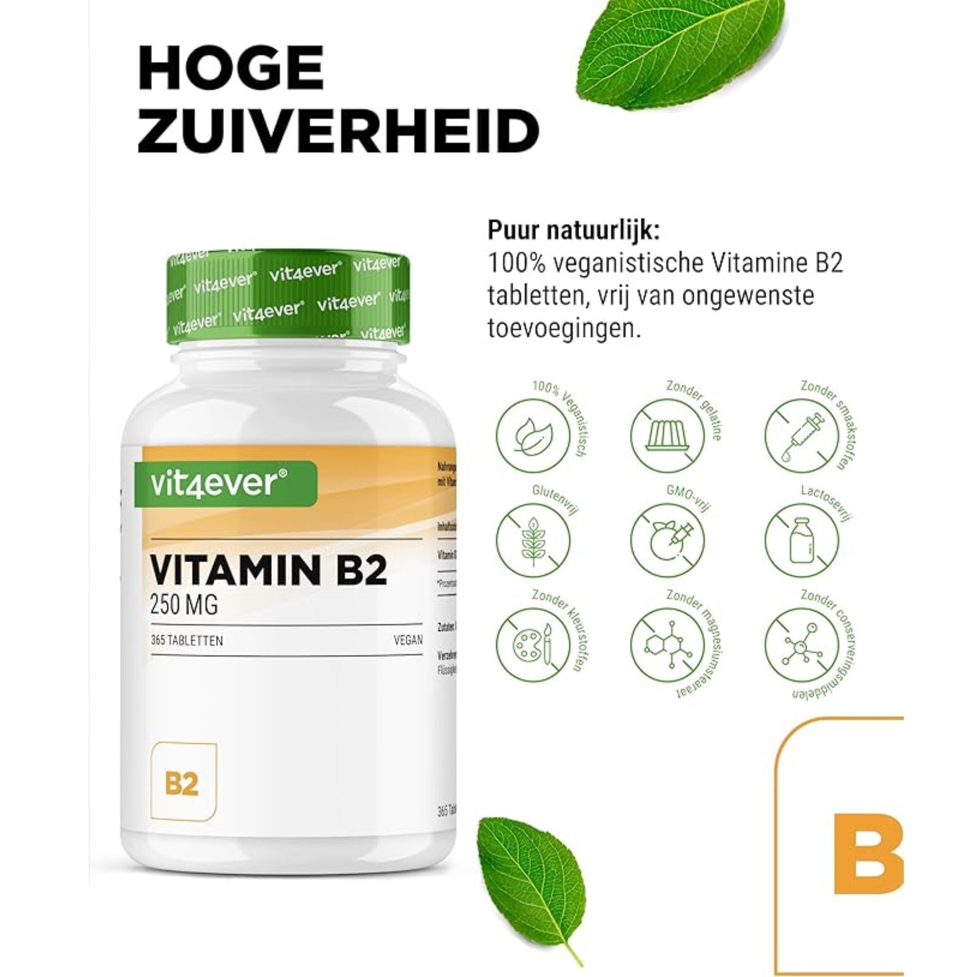Productfoto van een Vit4ever Vitamine B2-potje, met icoontjes die aangeven dat het supplement veganistisch en vrij van ongewenste toevoegingen is.
