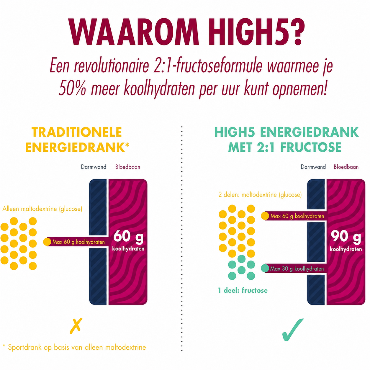 HIGH5 Energy Drink Berry | Koolhydraat-elektrolytenpoeder