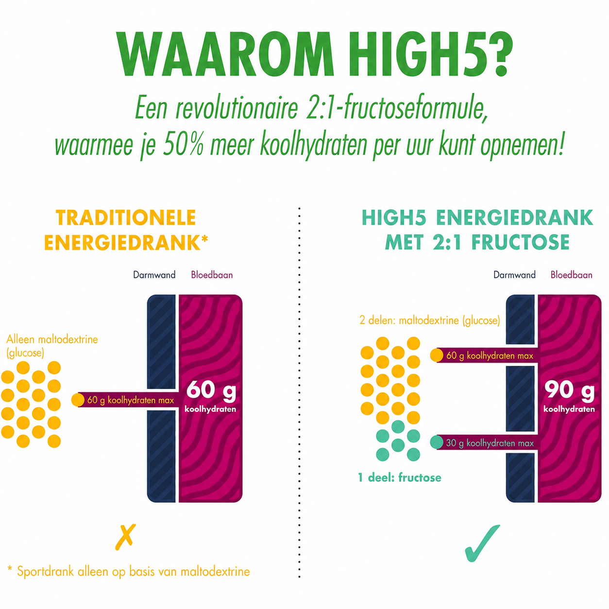 HIGH5 Energy Drink Citrus | Koolhydraat-elektrolytenpoeder