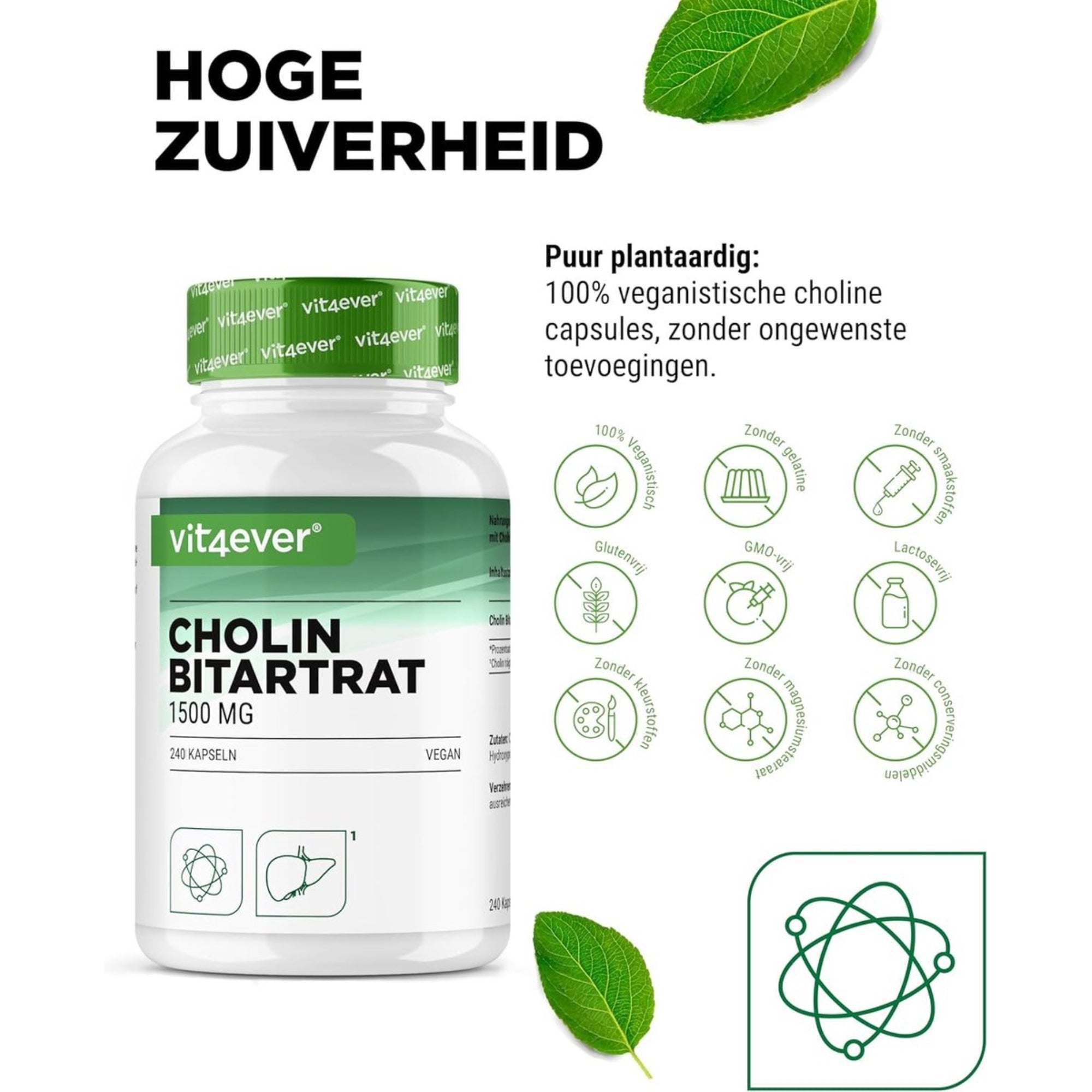 Choline Bitartraat 750mg | 240 Capsules | Vit4ever