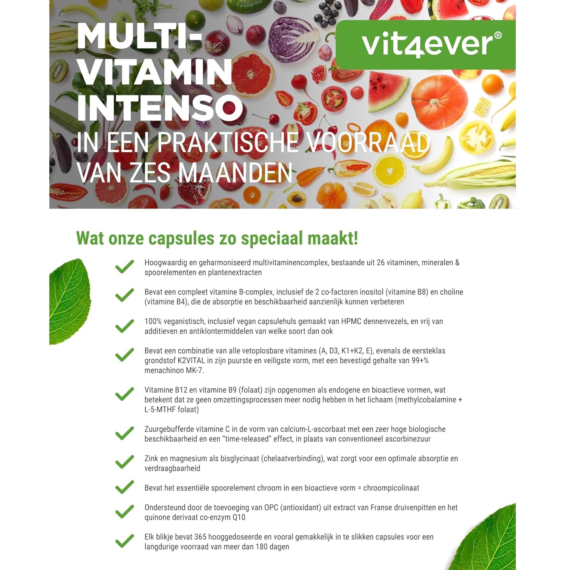Multivitamine Intenso | 2 capsules per dag | 365 capsules | vit4ever
