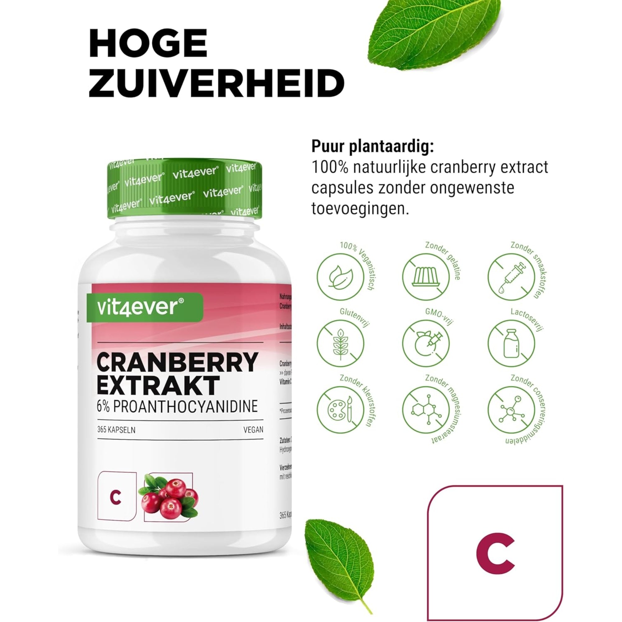 Cranberry Extract 6% Proanthocyanidine | 365 capsules | Vit4ever