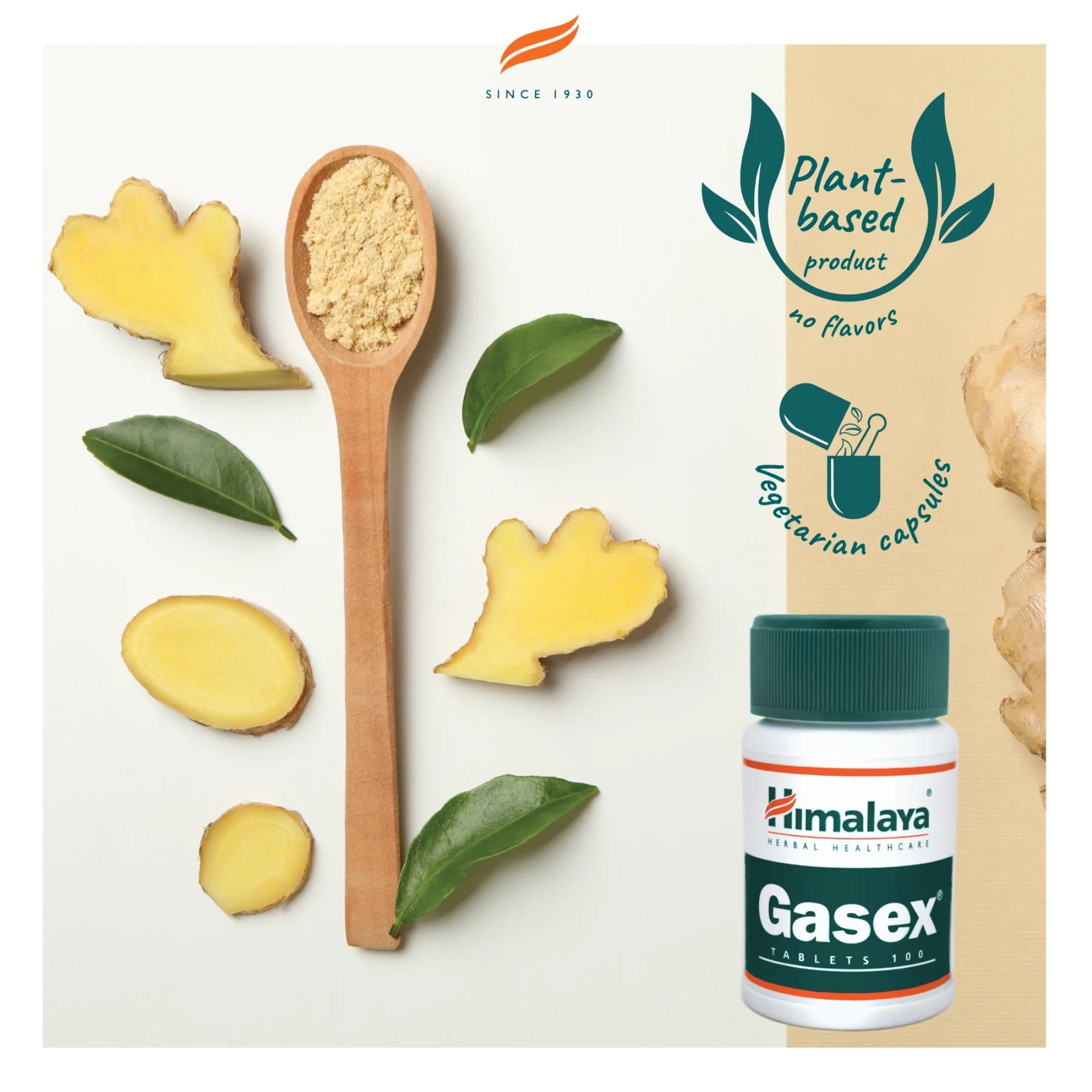 Gasex | 100 tabletten | Himalaya