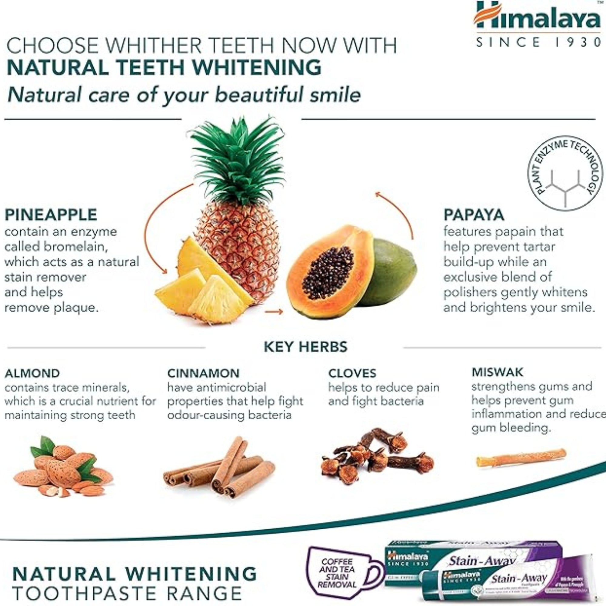 Himalaya Gum Expert Kräuterzahnpasta gegen Verfärbungen | 75 ml