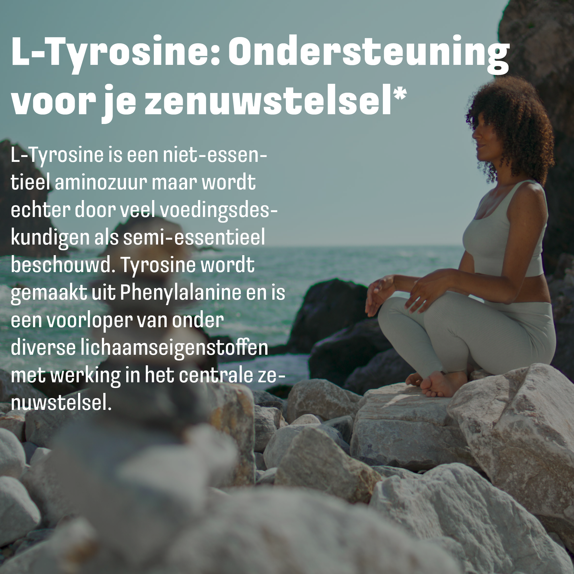 L-Tyrosine (L-Tyrosine + Biotine) 1200mg | 90 capsules | LUTO Supplements