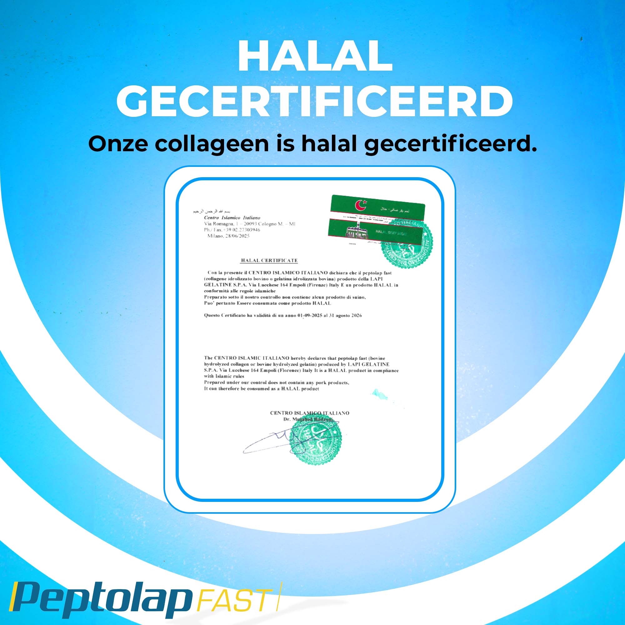 Peptolap Fast Gehydrolyseerd Halal Collageenpoeder Type I & III | 500g | LUTO Supplements