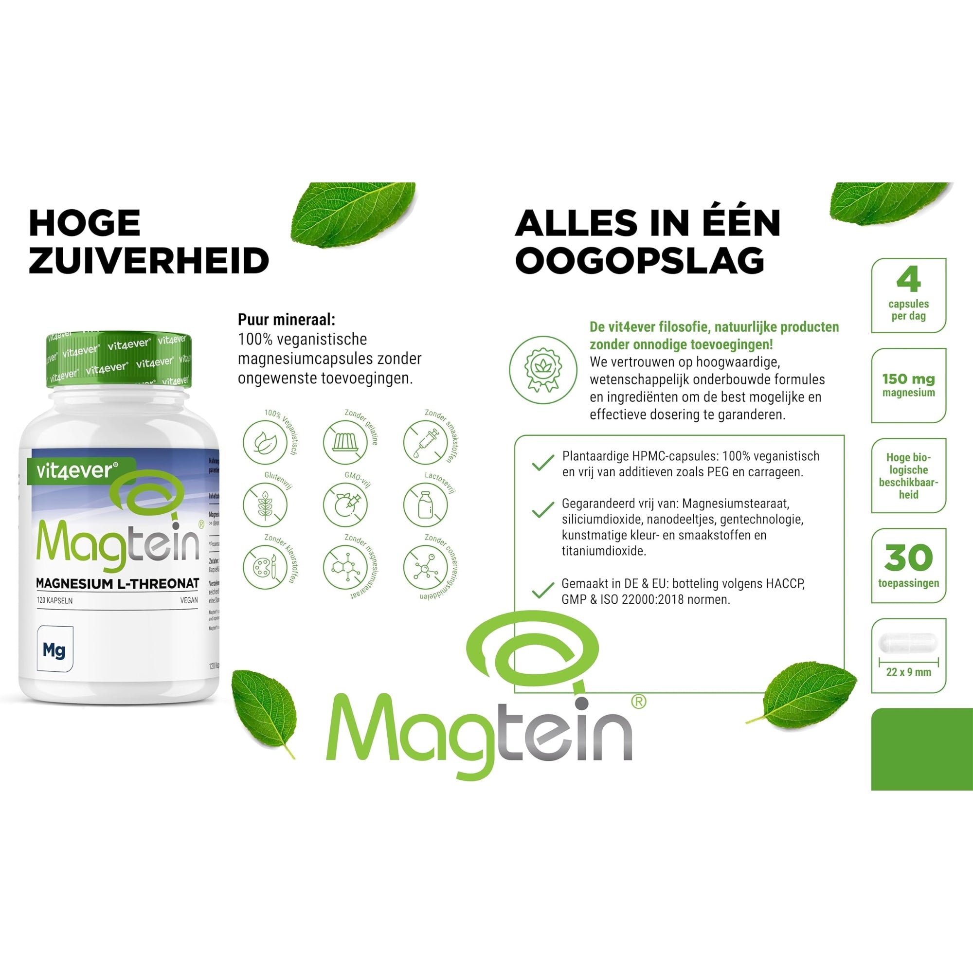 Magtein® Magnesium-L-Threonat | 120 Kapseln | Vit4ever