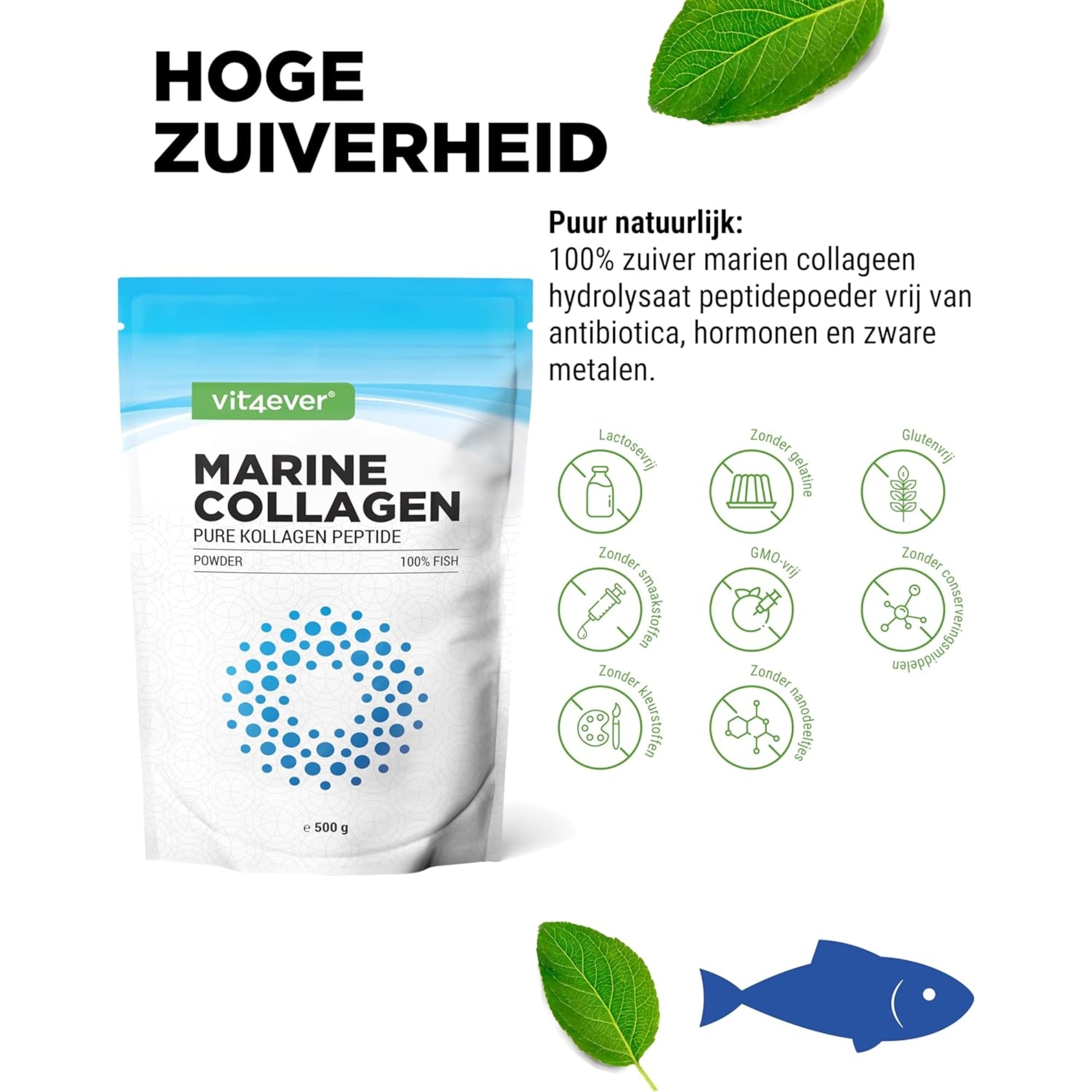 Meereskollagen (Fischkollagenhydrolyse) | 31 Portionen | Vit4ever