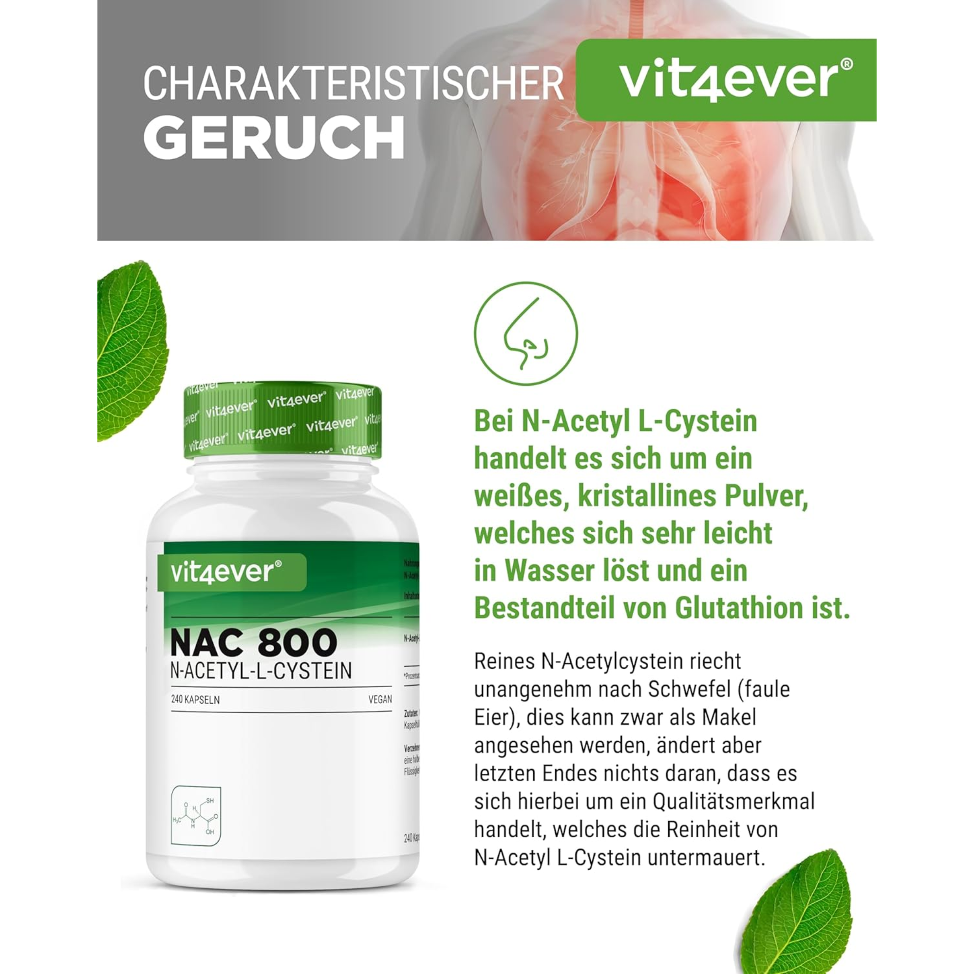 NAC N-Acetyl L-Cysteine 800mg | 240 Capsules | Vit4ever