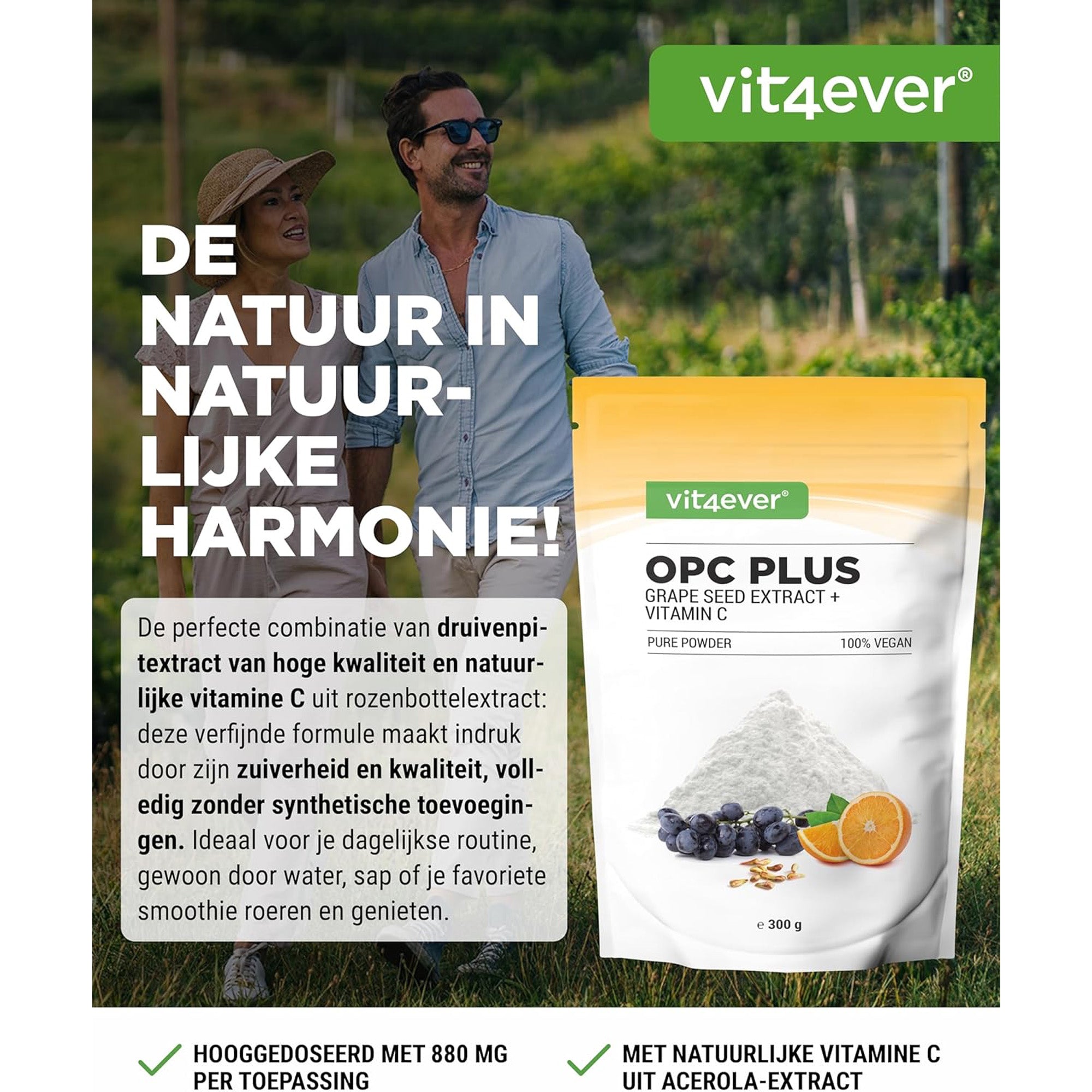 Vit4ever OPC Druivenpitextract + Vitamine C Poeder - kruidensupplement zonder onnodige toevoegingen