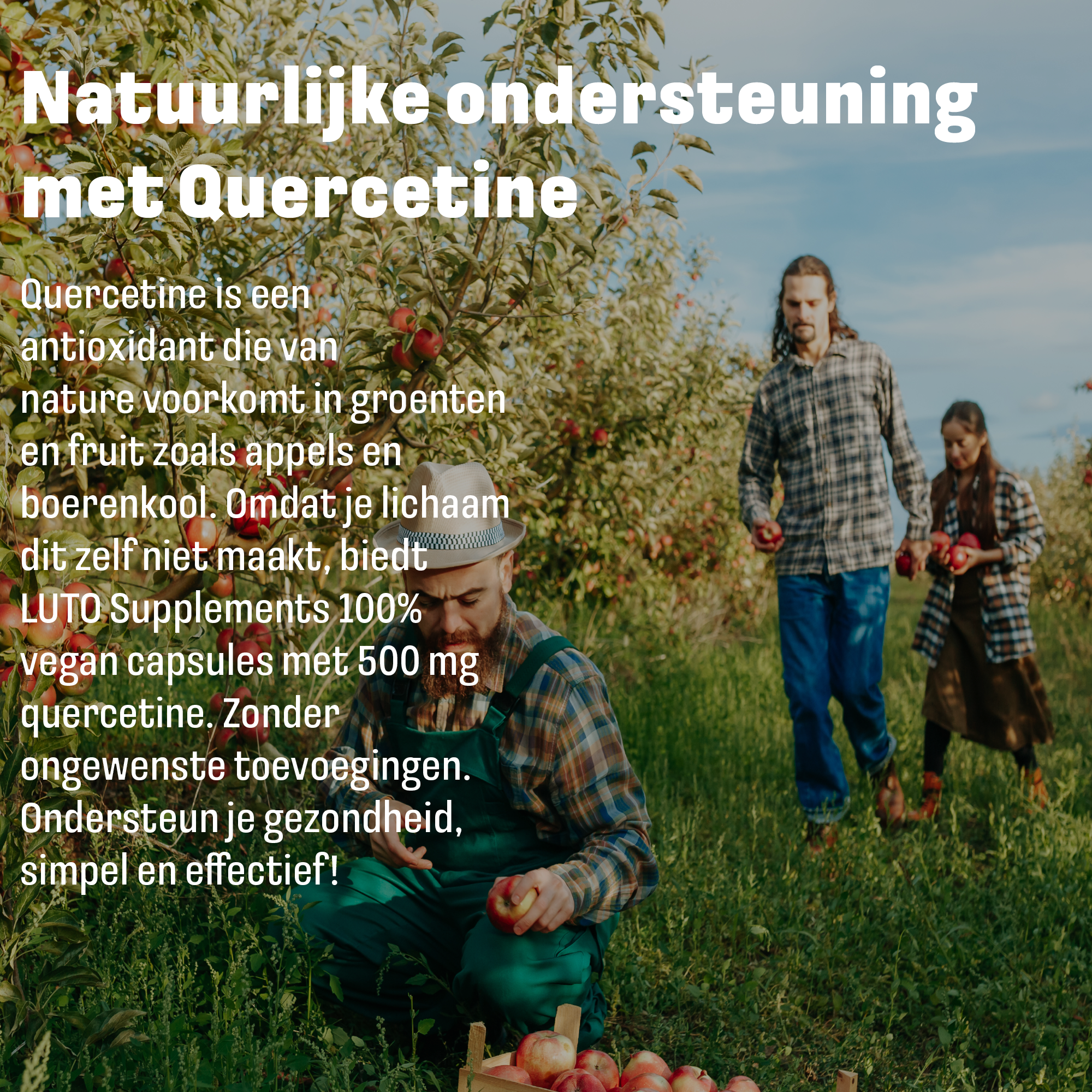 Quercetin + Zink + Selen | 60 Kapseln | LUTO Supplements