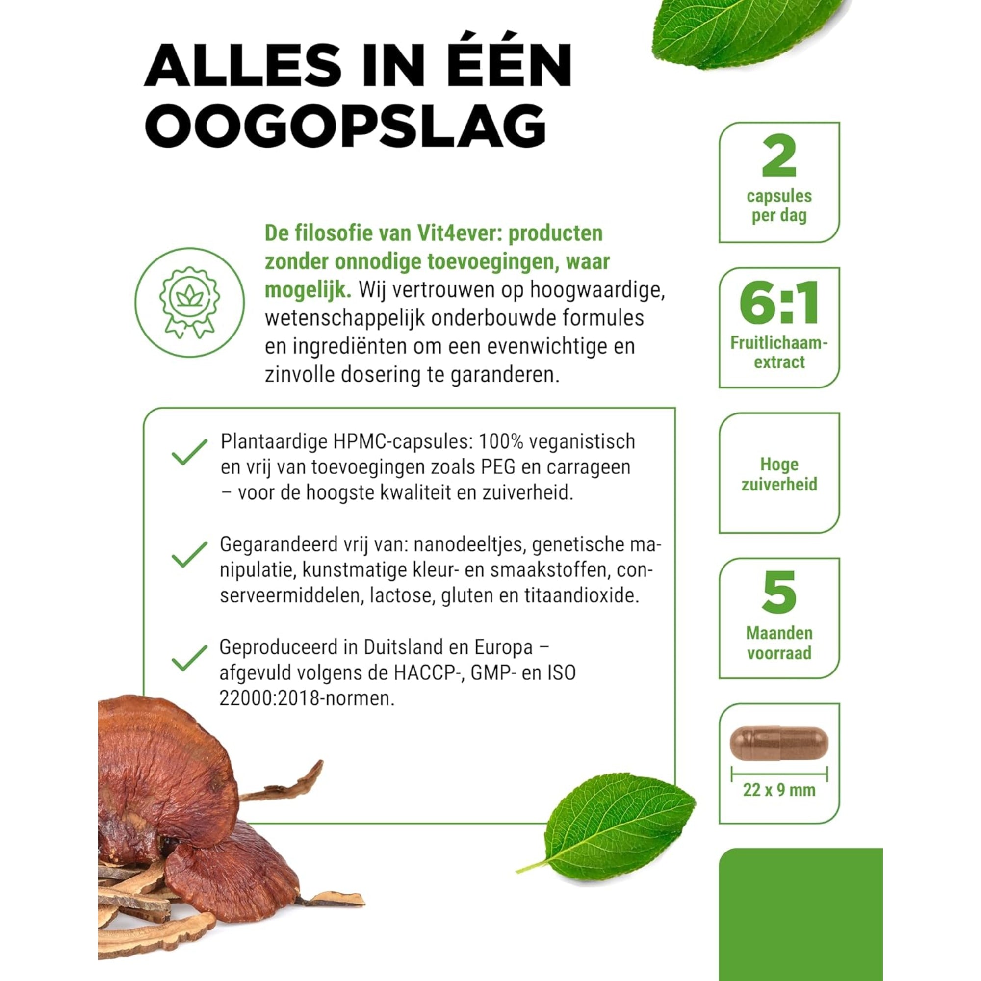 Reishi Intenso 1300mg | 270 capsules | Vit4ever