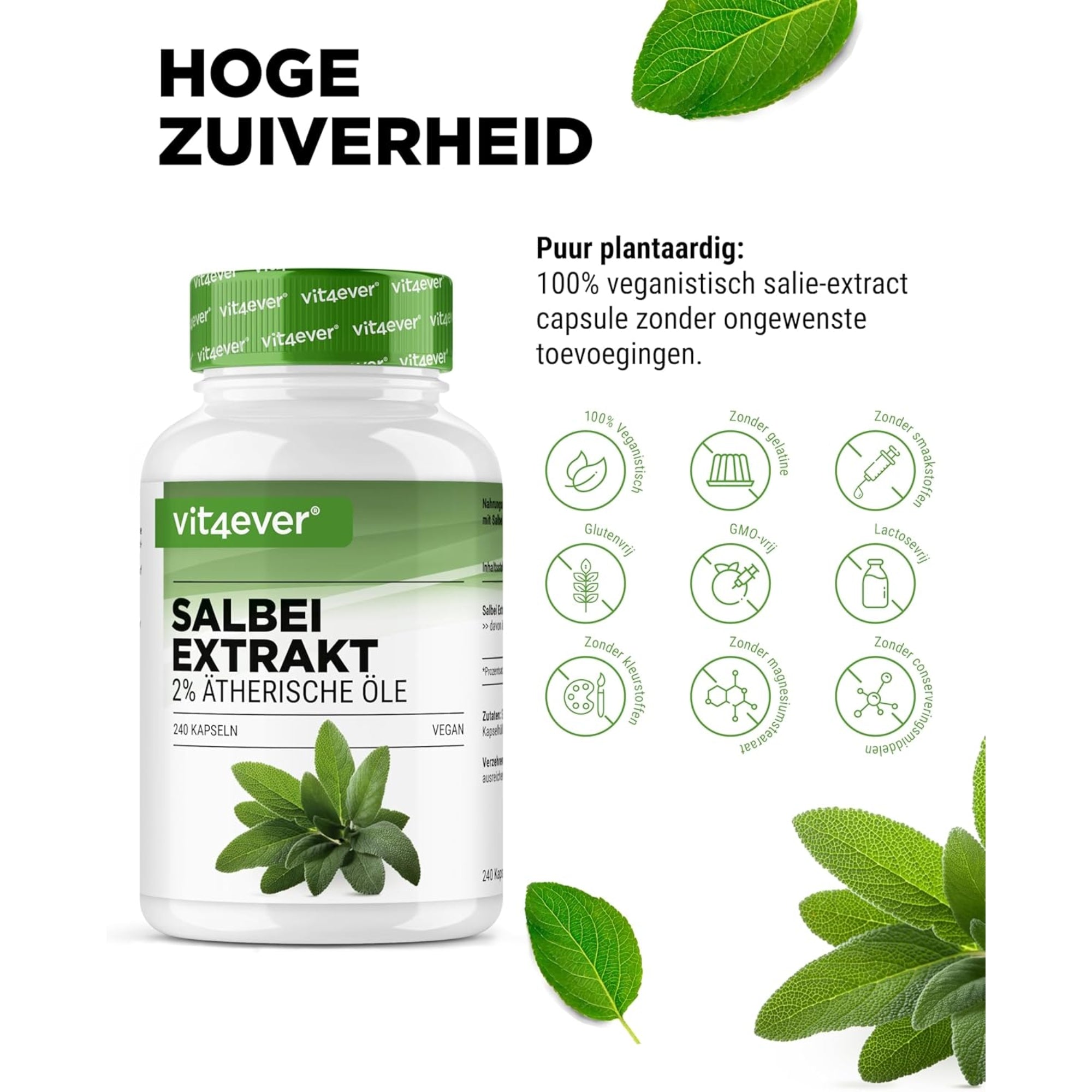 Salie-extract | 240 capsules | Vit4ever