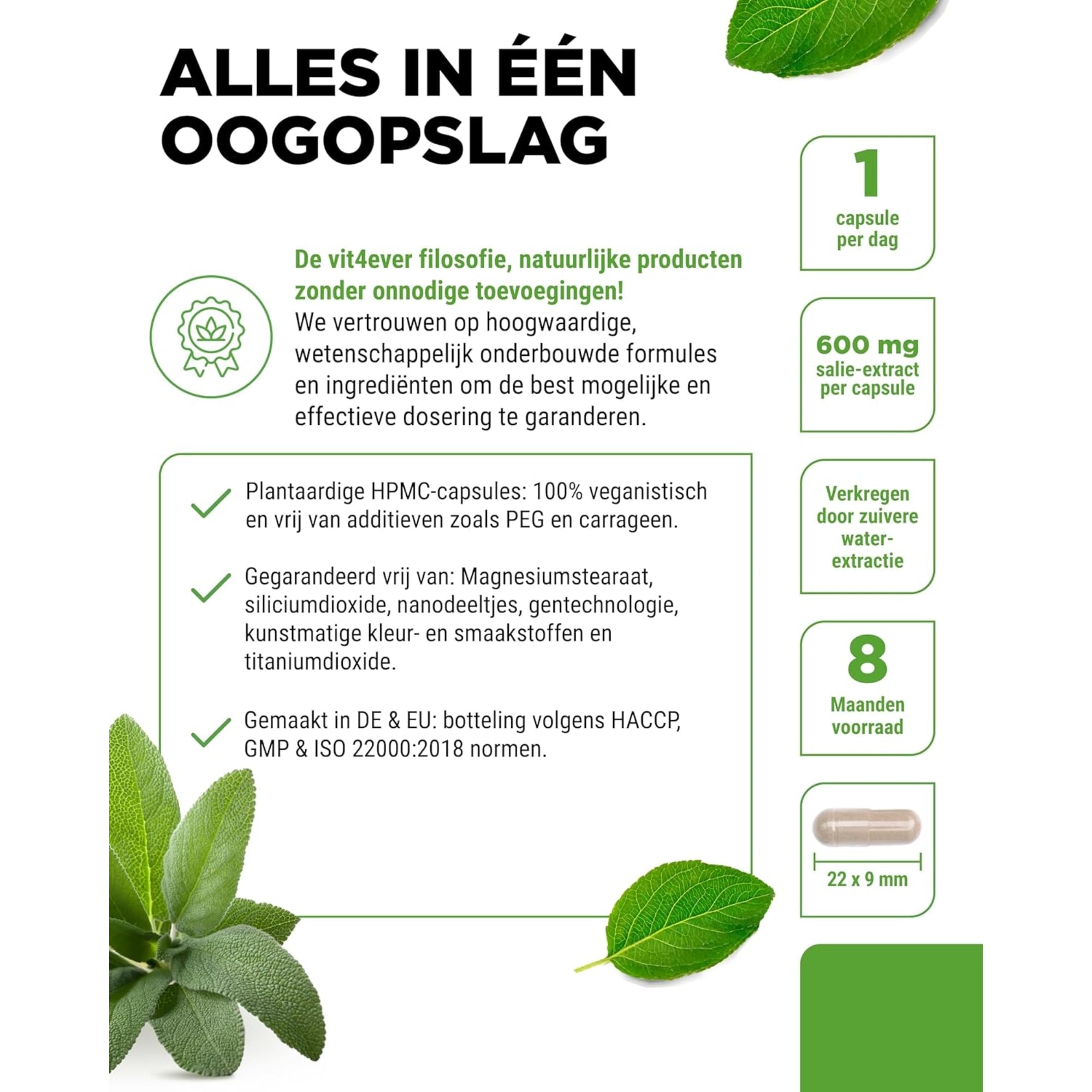 Salie-extract | 240 capsules | Vit4ever