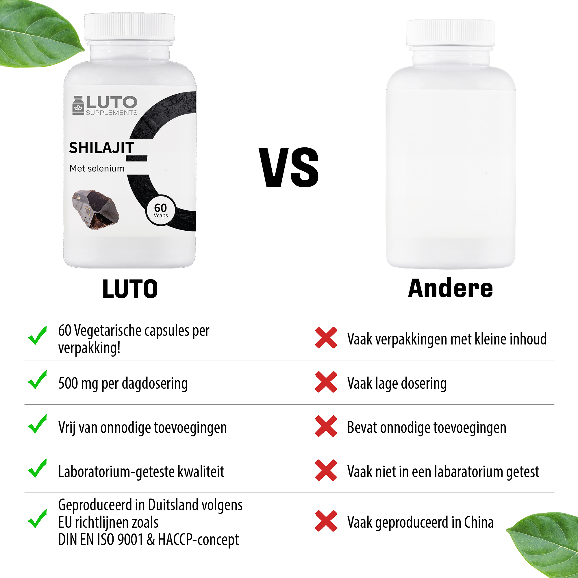 Shilajit (Shilajit) met Selenium | 60 plantaardige capsules | LUTO Supplements