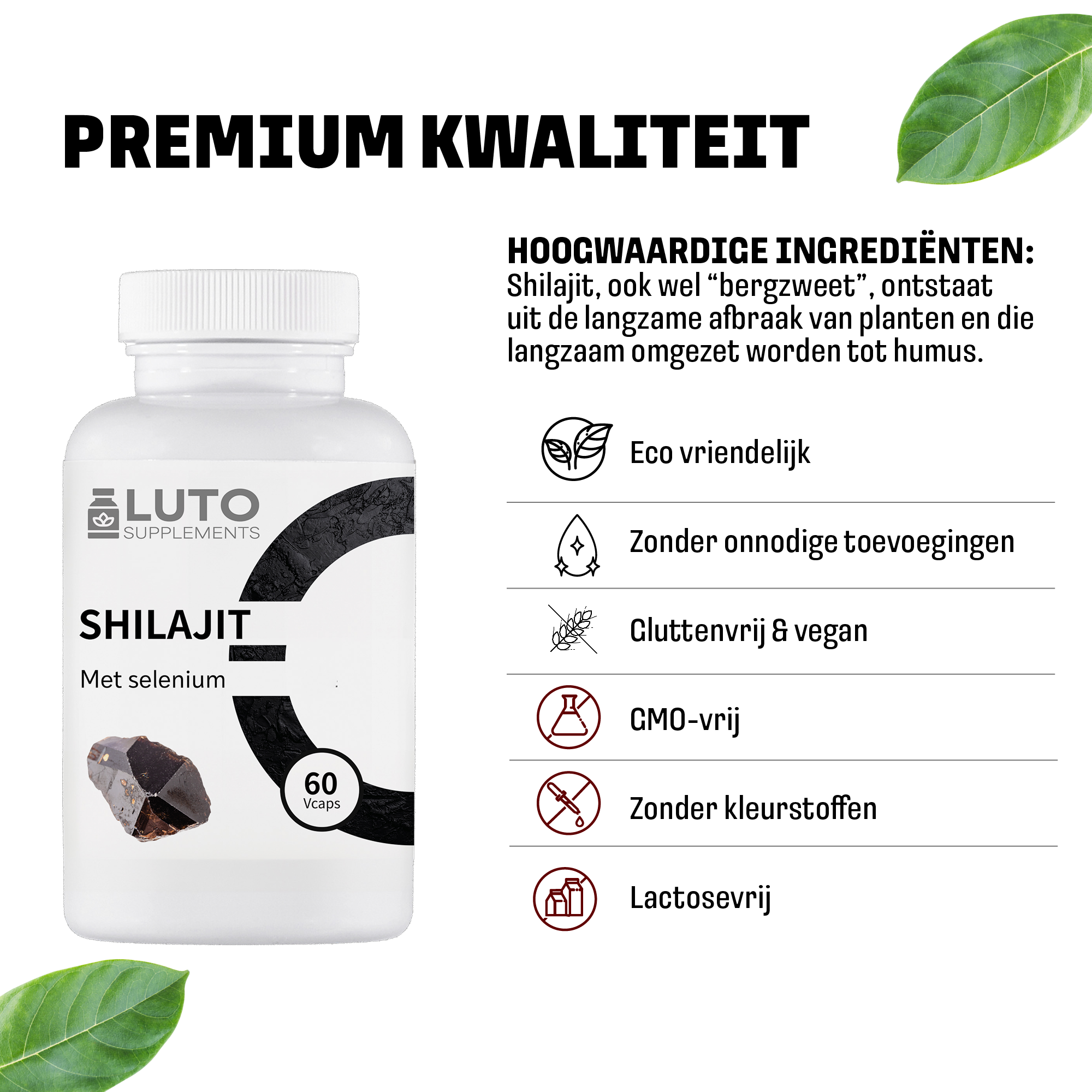 Shilajit (Shilajit) met Selenium | 60 plantaardige capsules | LUTO Supplements