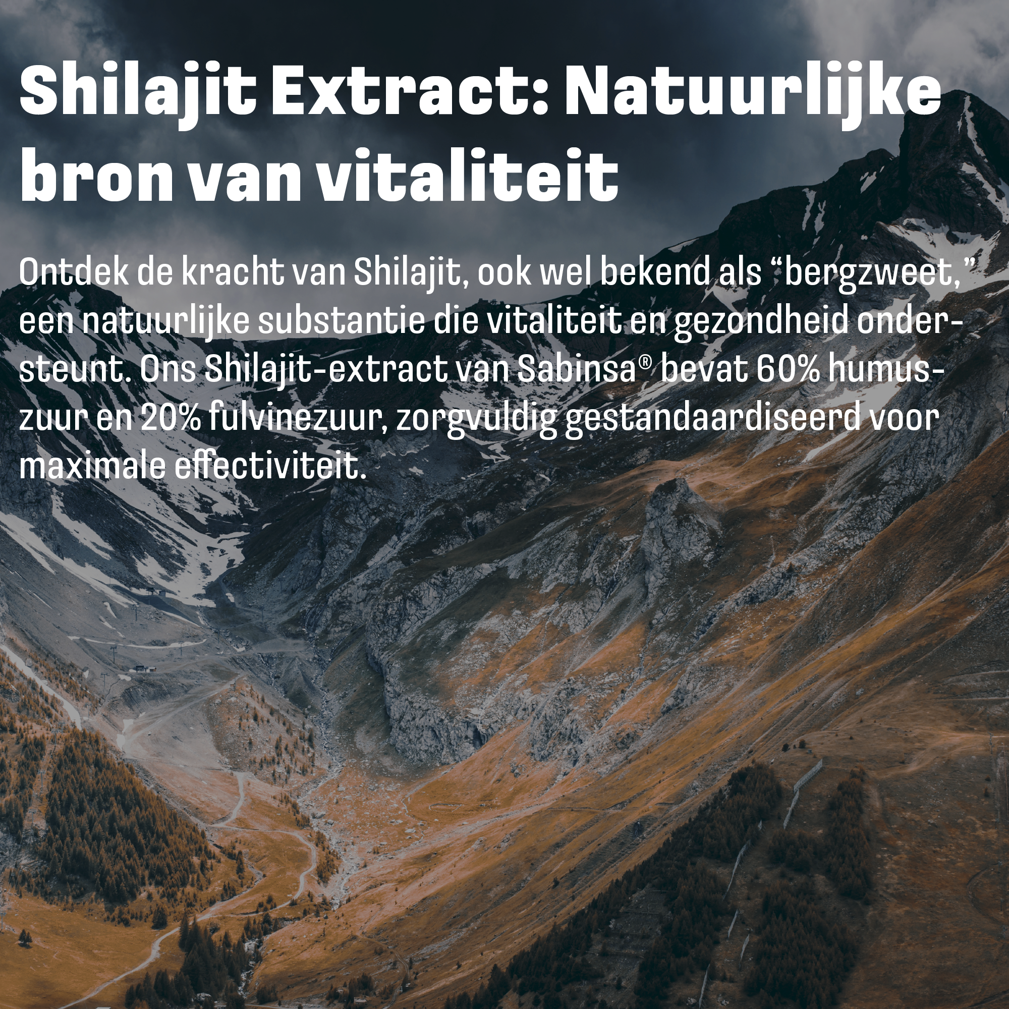 Shilajit (Shilajit) met Selenium | 60 plantaardige capsules | LUTO Supplements