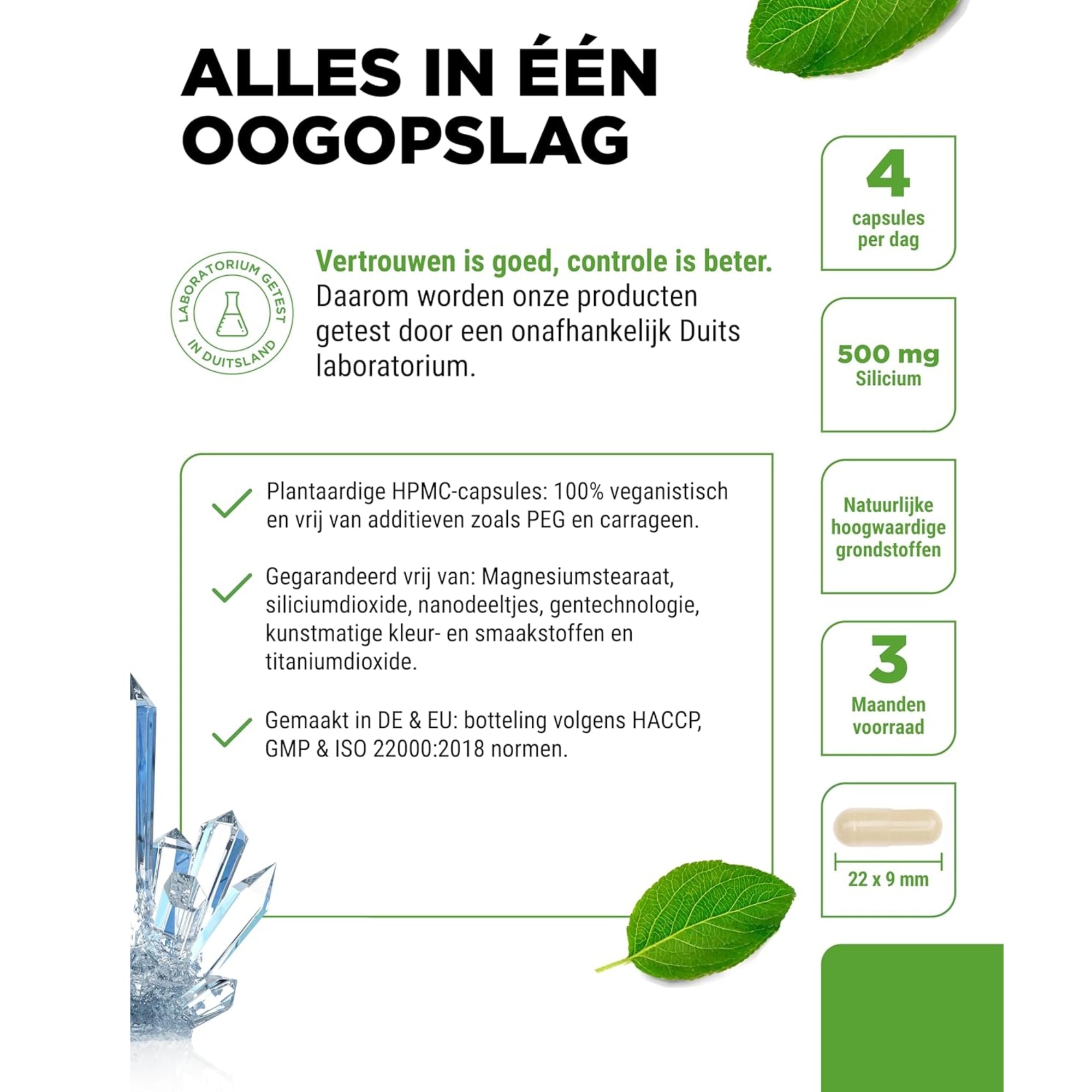 Silizium aus Bambusextrakt 500 mg | 365 Kapseln | Vit4ever