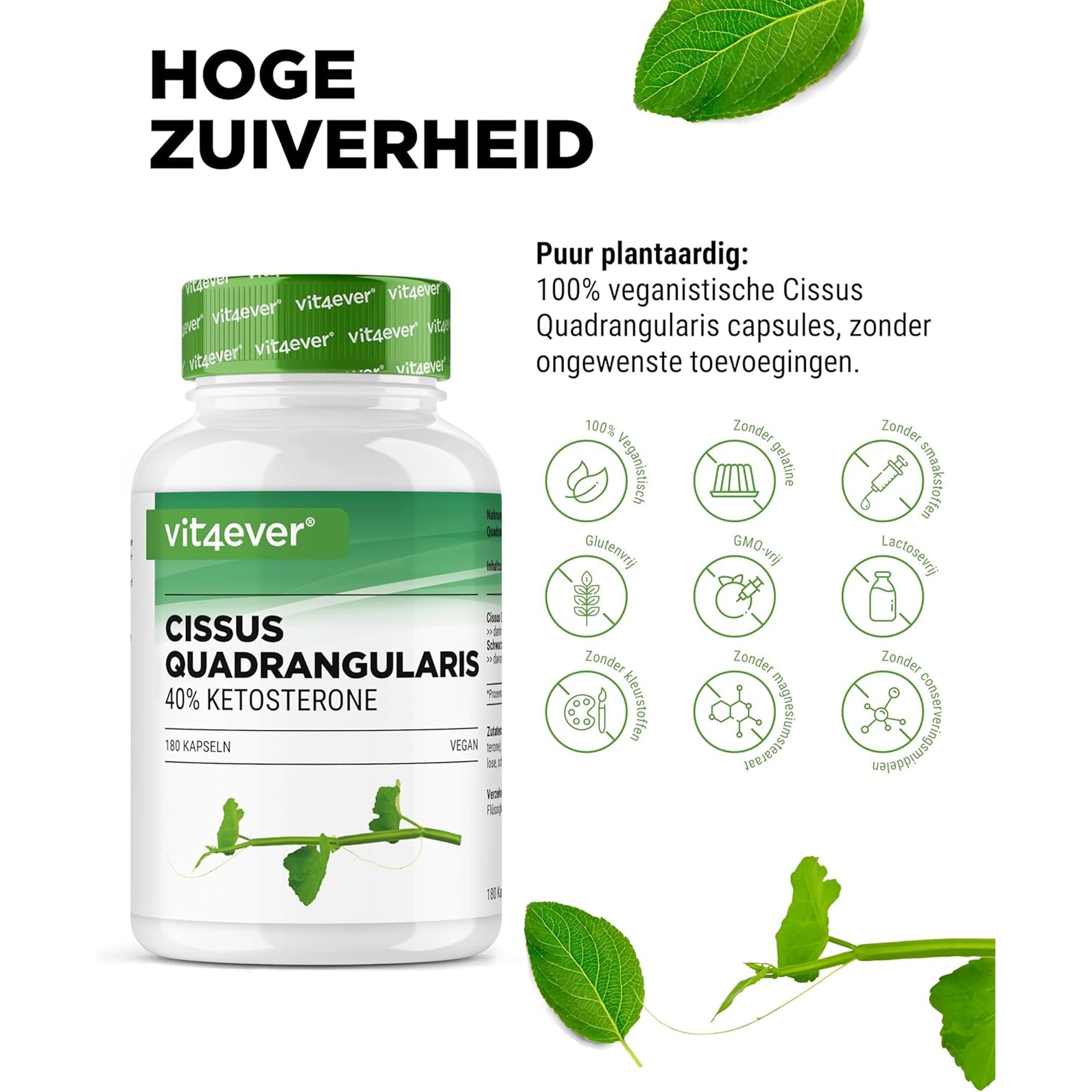 Gebruik en dosering van Vit4ever Cissus Quadrangularis capsules