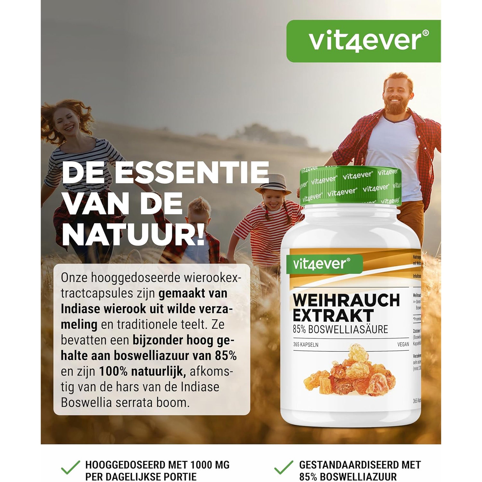 Indiase Boswellia Serrata (Boswellia serrata extract) 1000mg | 240 of 365 capsules | Vit4ever