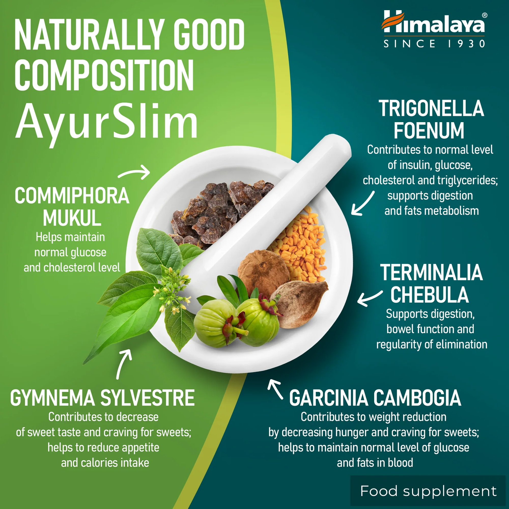 Himalaya AyurSlim ingredienten - Commiphora mukul, Gymnema sylvestre, Garcinia cambogia, Terminalia chebula en fenegriek in Ayurvedische formule