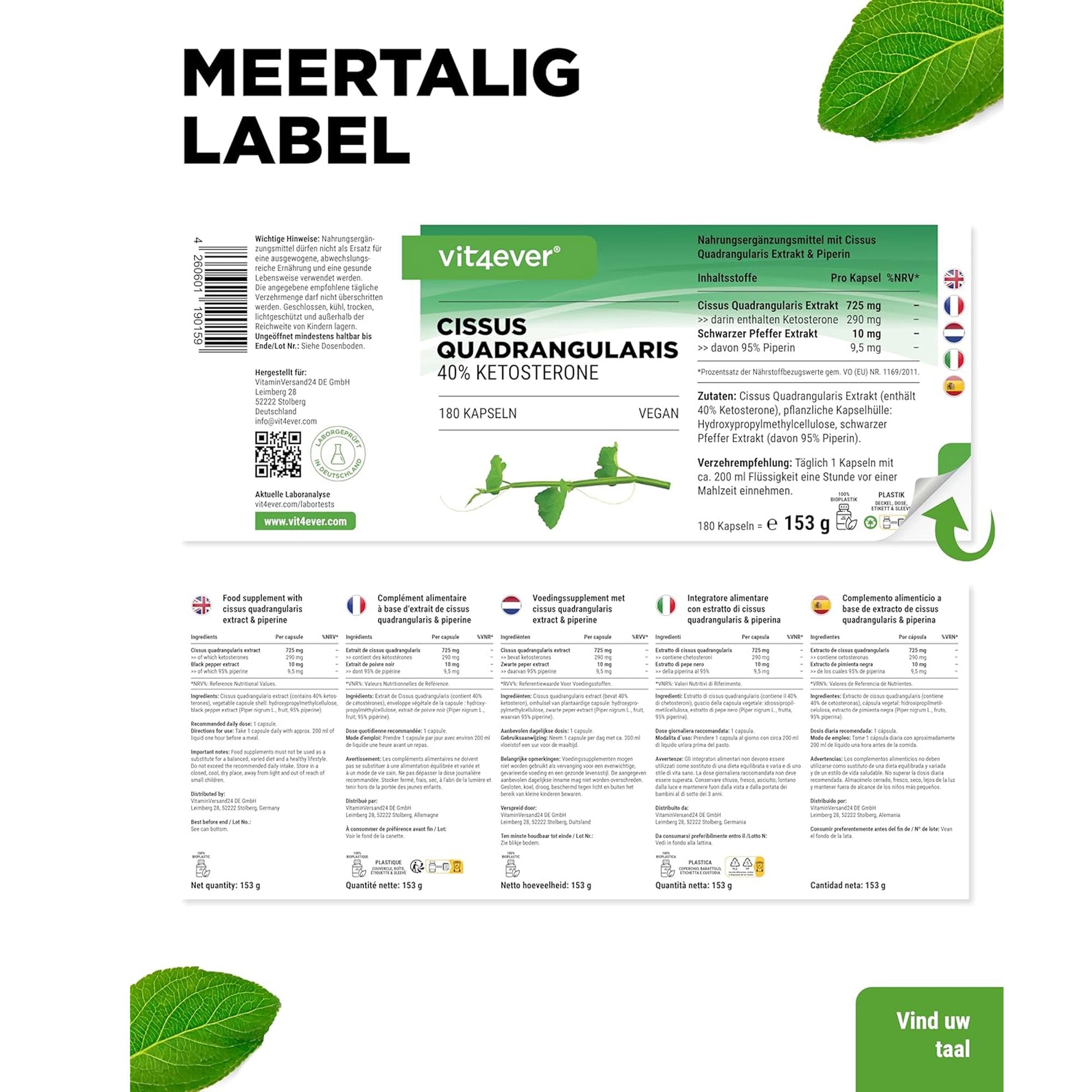 Cissus Quadrangularis Intenso 725 mg | 180 Kapseln | Vit4ever