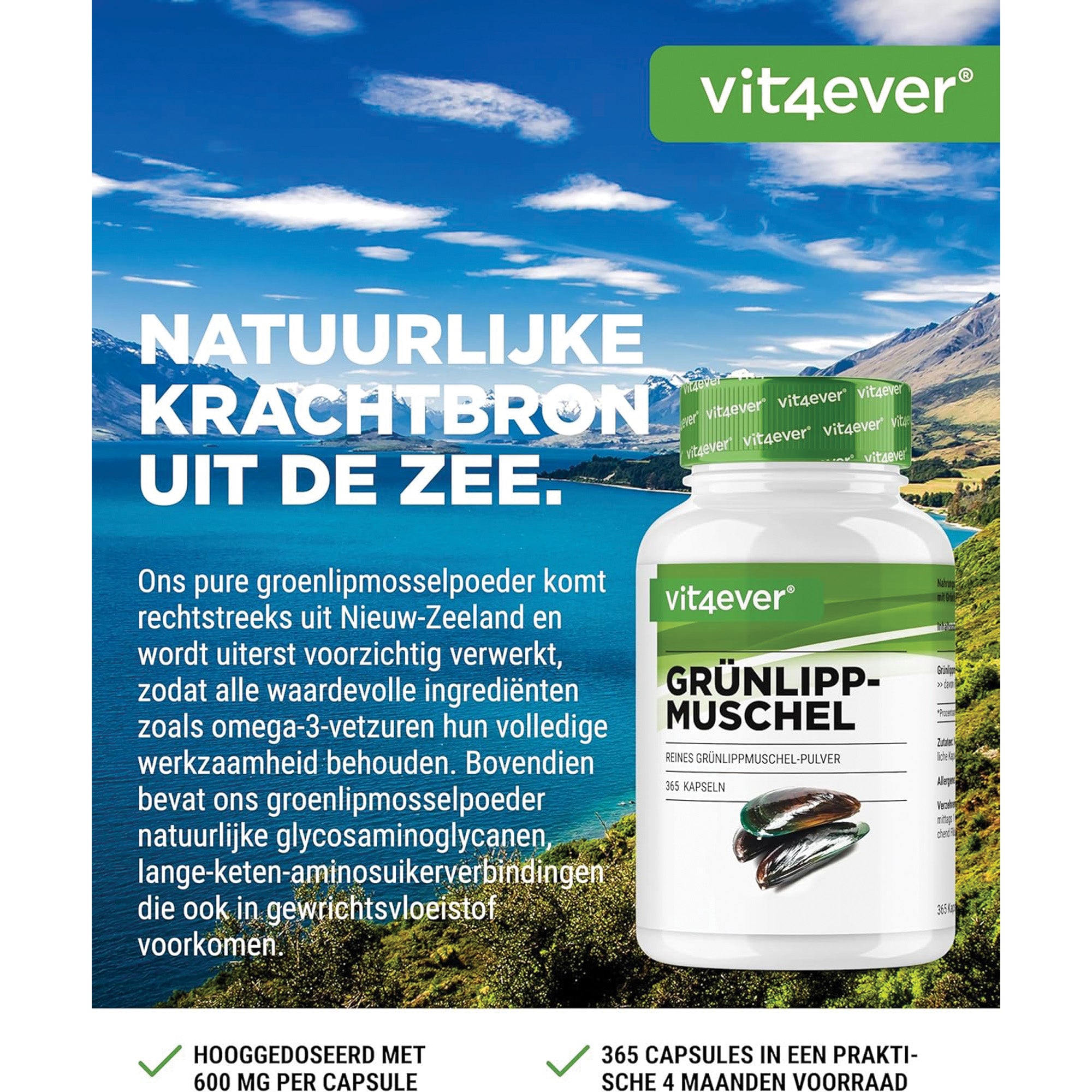 Groenlipmossel 600mg | 365 capsules | Vit4ever