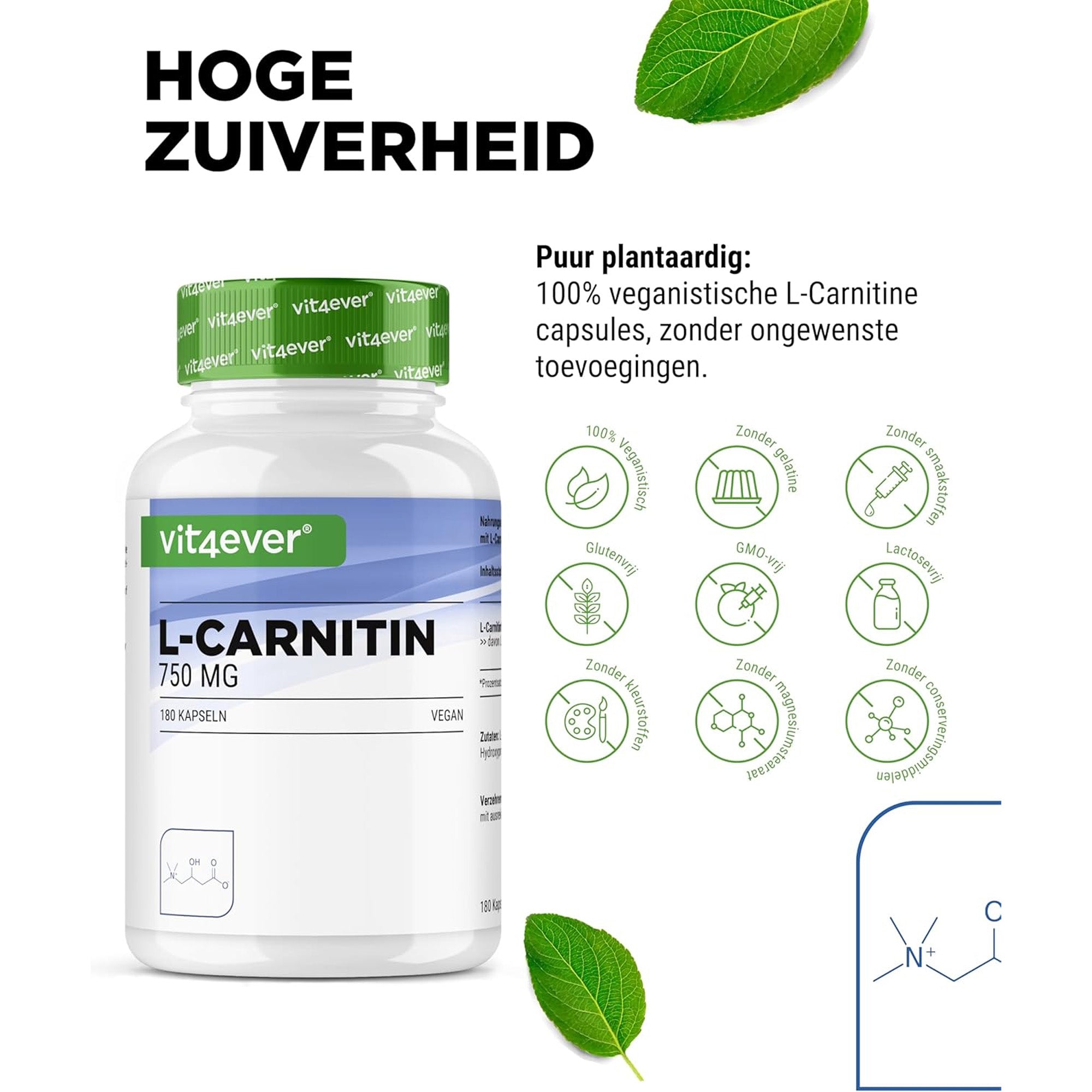 L-Carnitine Tartraat | 3000mg | 180 Capsules | Vit4ever