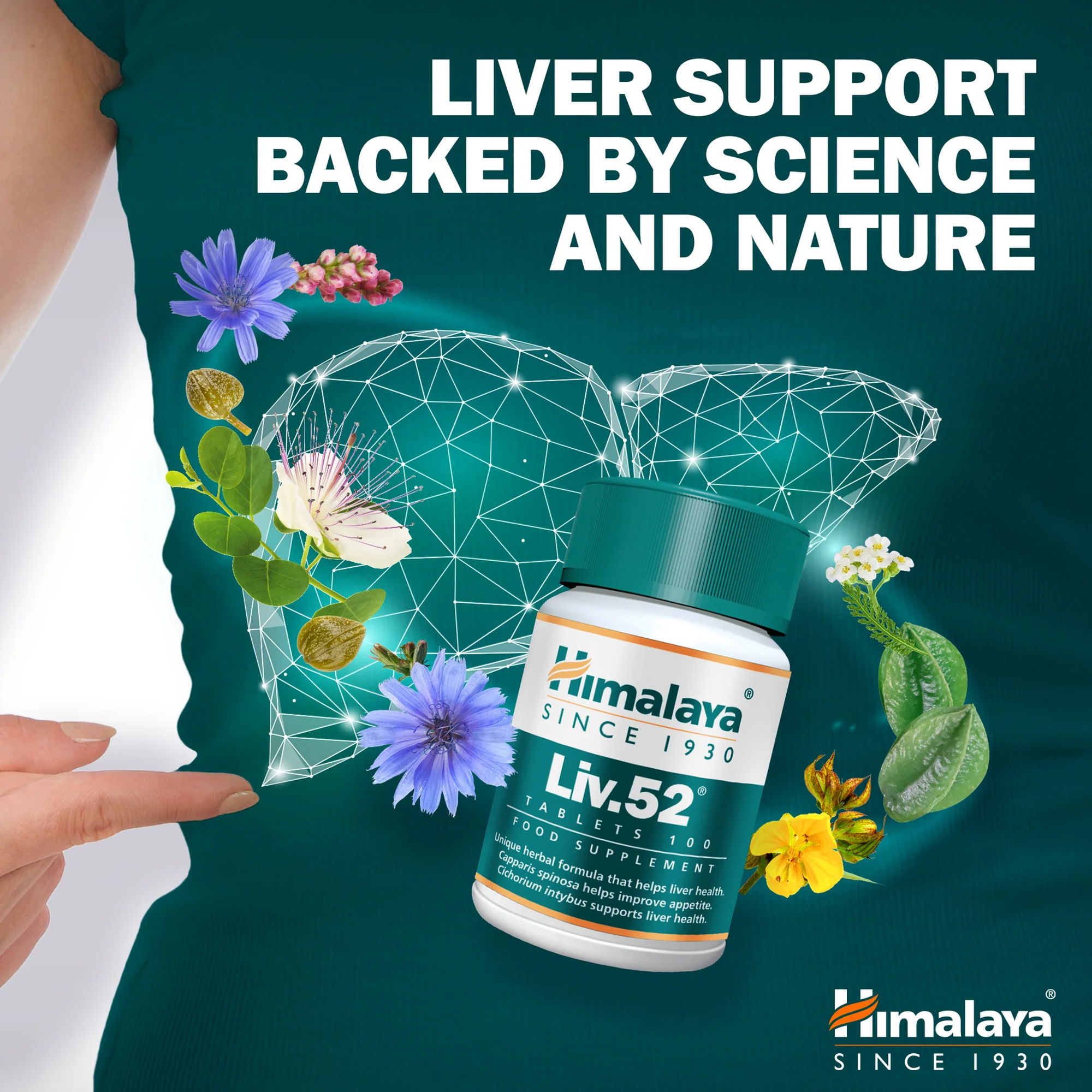 Himalaya Liv.52 met acht Ayurvedische kruiden voor lever en spijsvertering