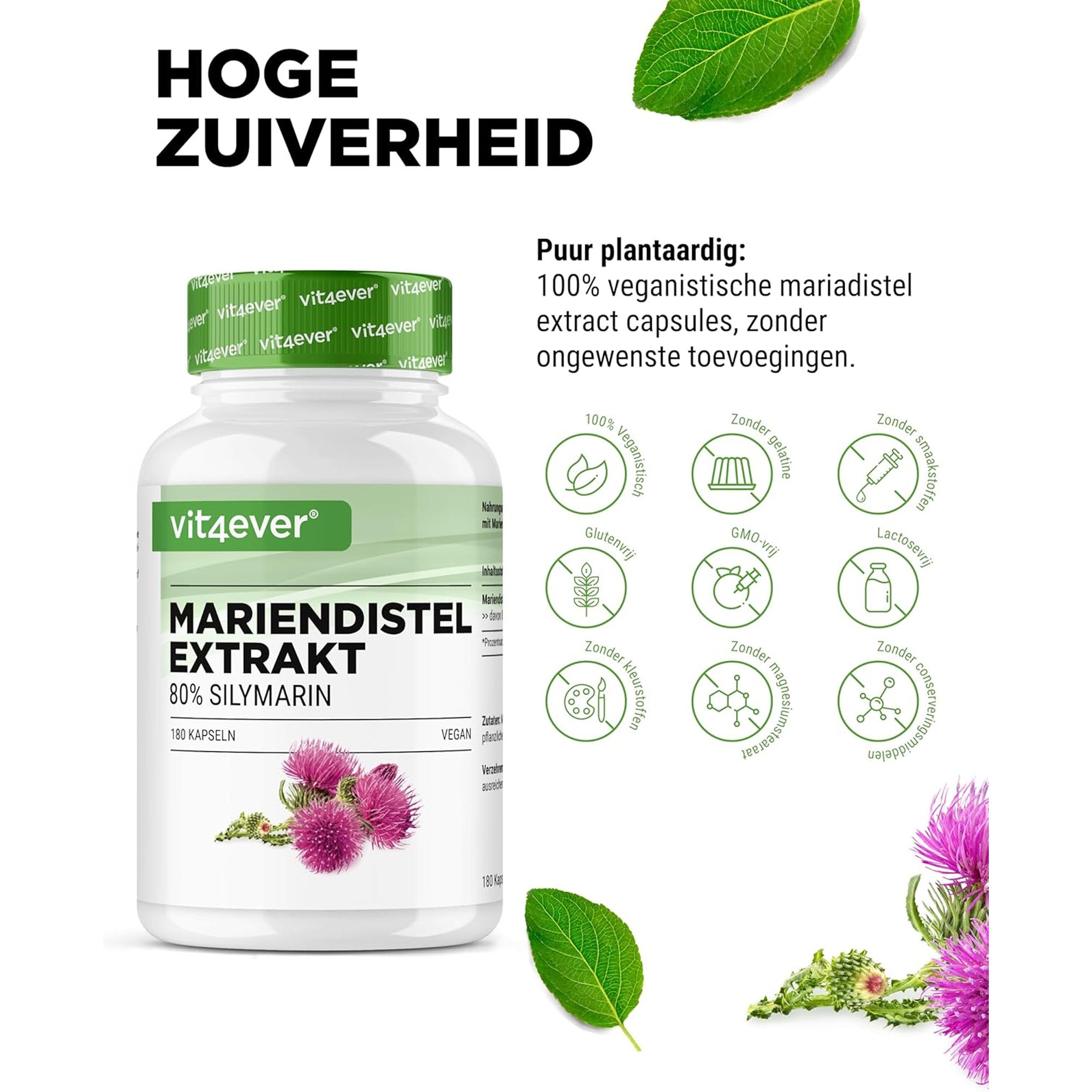 Mariadistelextract (80% Silymarine) 500mg | 180 of 365 capsules | Vit4ever