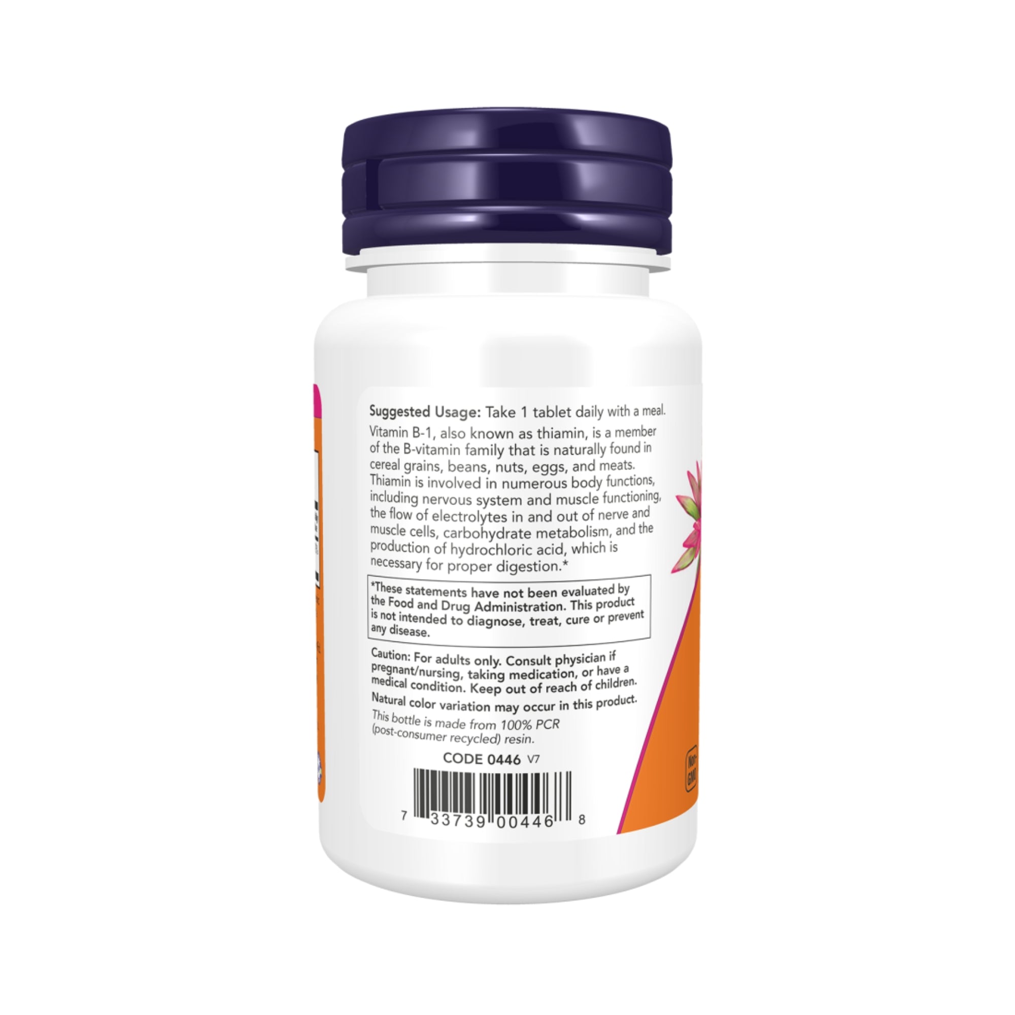 Vitamine B-1 100mg | 100 Tabletten | NOW Foods