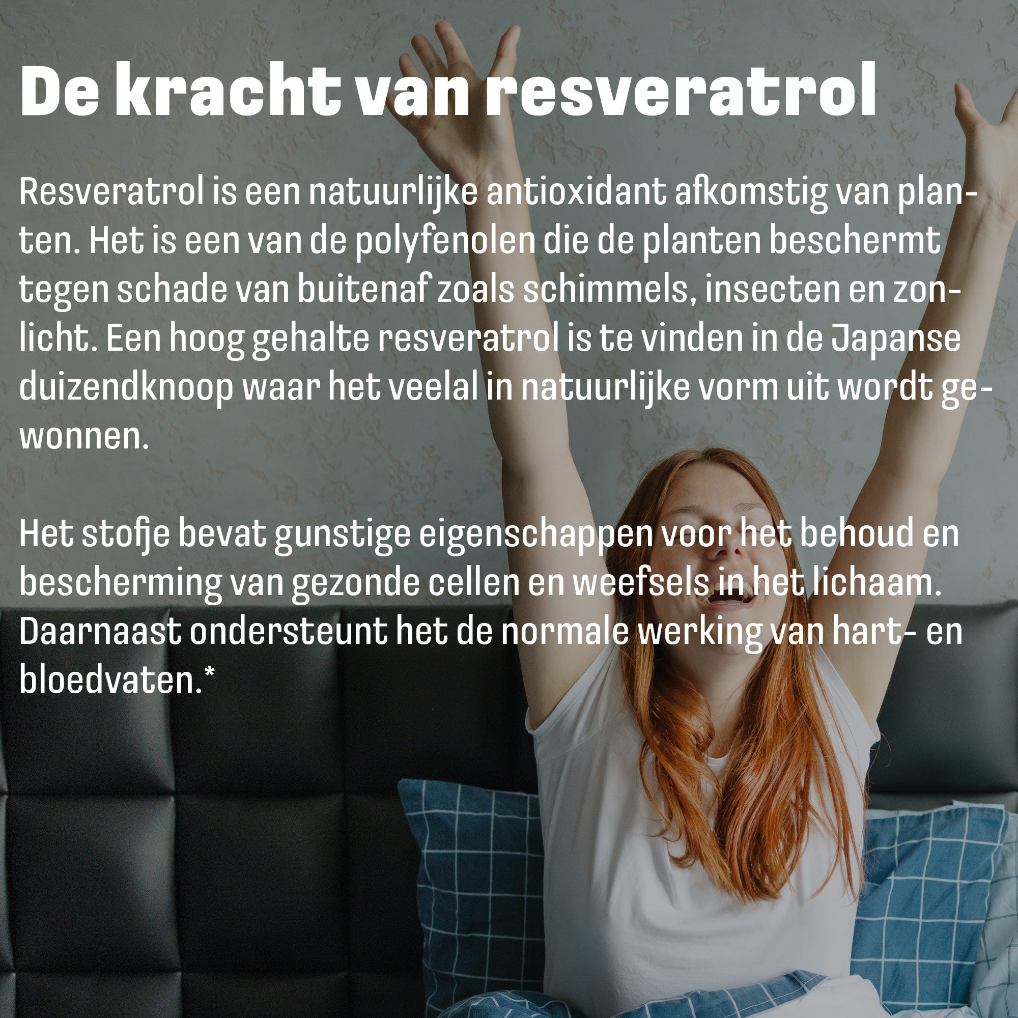 Resveratrol (Trans Resveratrol) | 60 plantaardige capsules | LUTO Supplements