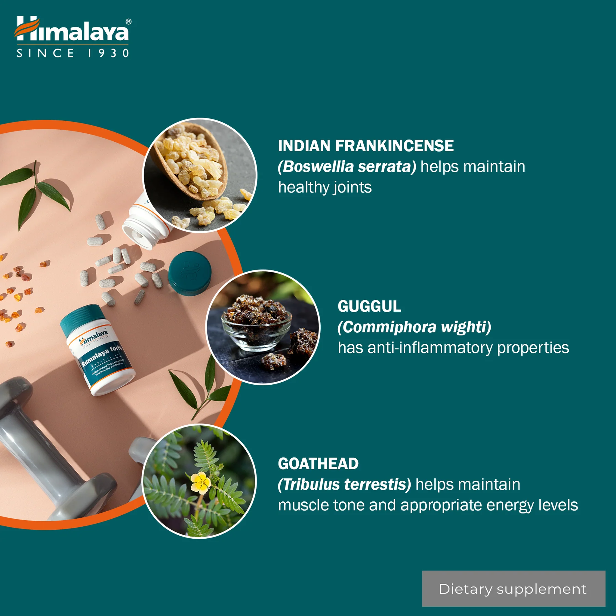 Himalaya Rumalaya Forte ingrediënten Boswellia, guggul en Tribulus terrestris