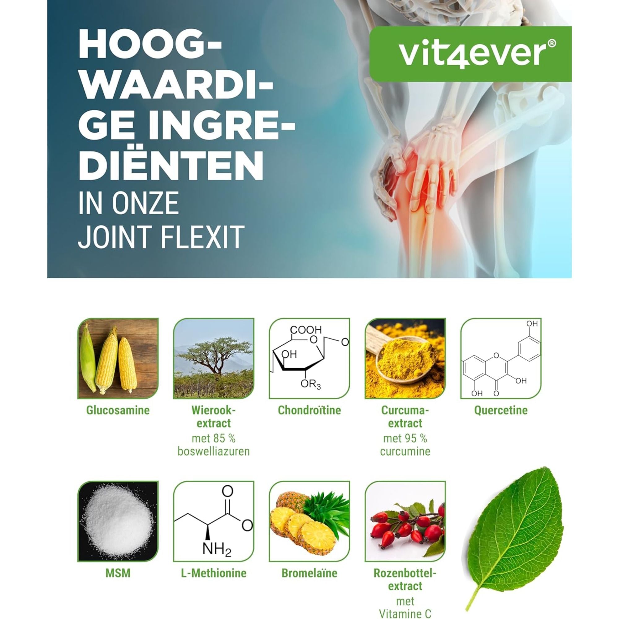 Gelenk Flexit 180 capsules | Vit4ever