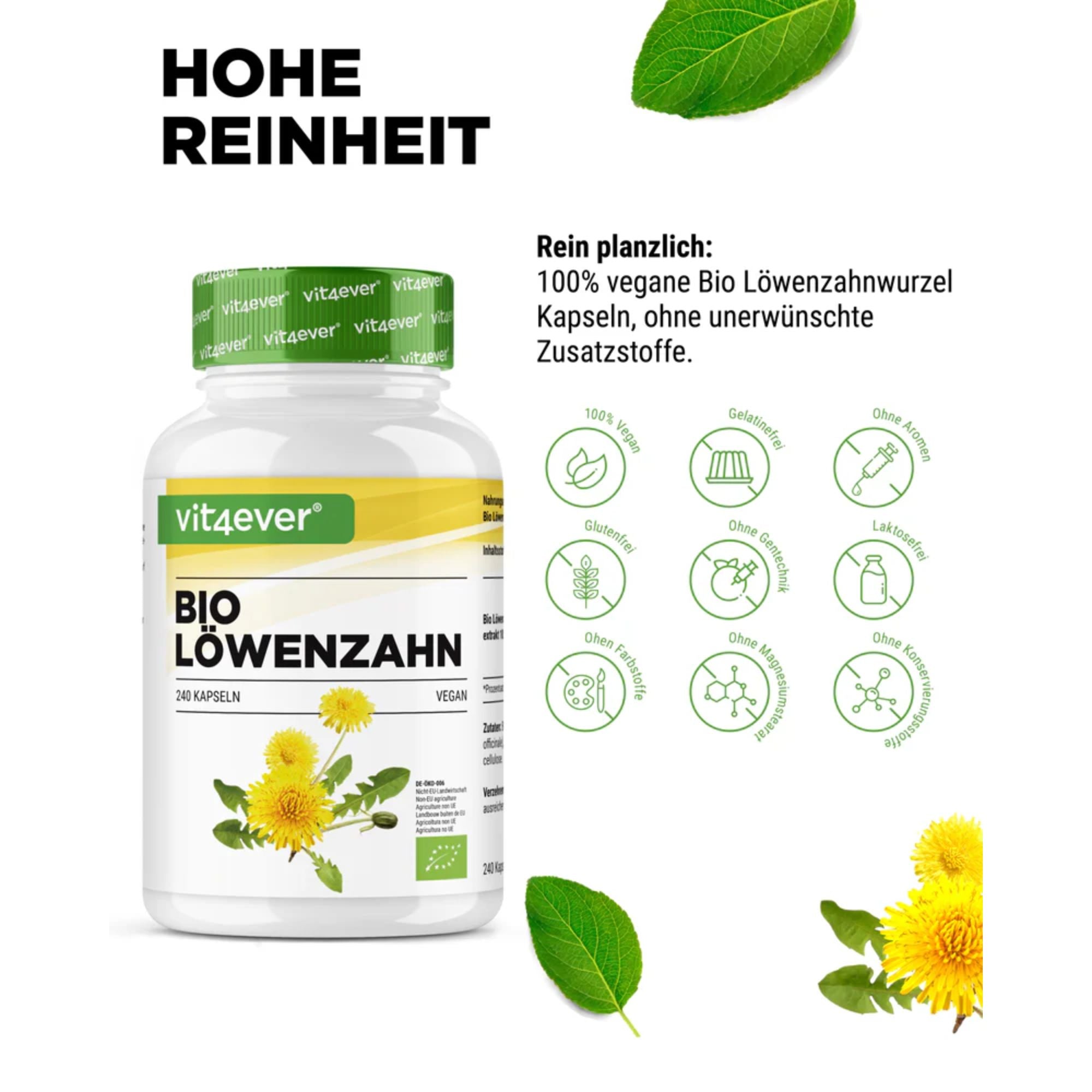 Vit4ever Bio Paardenbloemwortel Extract 10:1 - hooggedoseerd en vegan