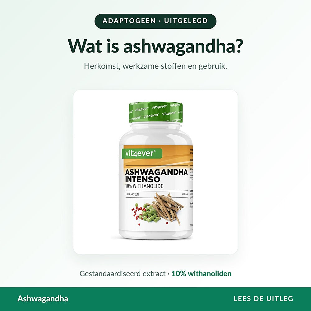 Ashwagandha-extract van Vit4ever met 10% withanoliden, gestandaardiseerd wortelextract