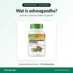 Ashwagandha-extract van Vit4ever met 10% withanoliden, gestandaardiseerd wortelextract