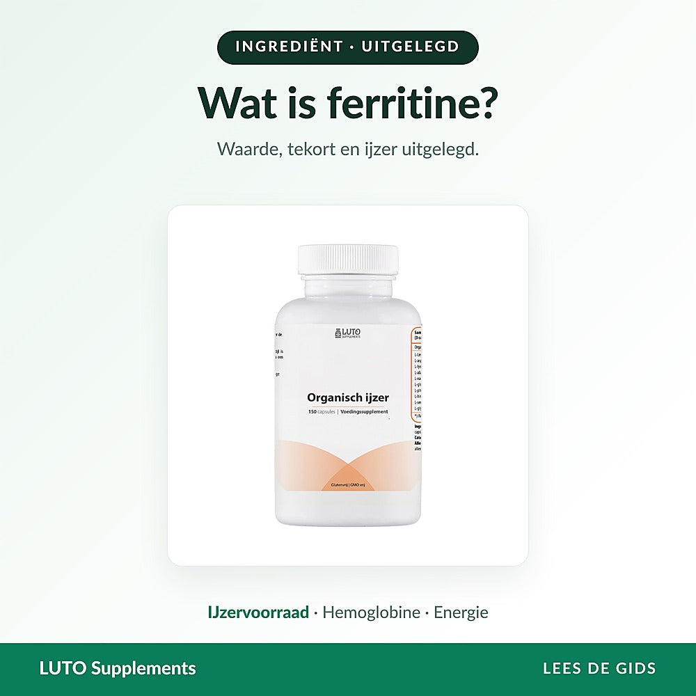 Wat is ferritine - waarde, tekort en ijzer uitgelegd | LUTO Supplements