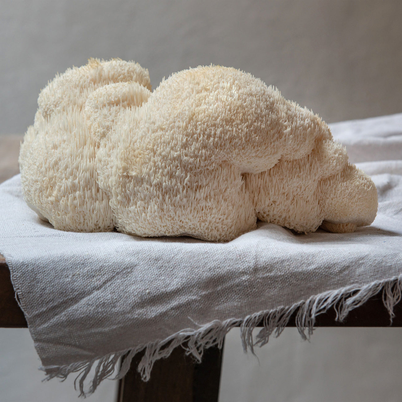 Verbazingwekkende Voordelen van Lion's Mane Paddenstoel*