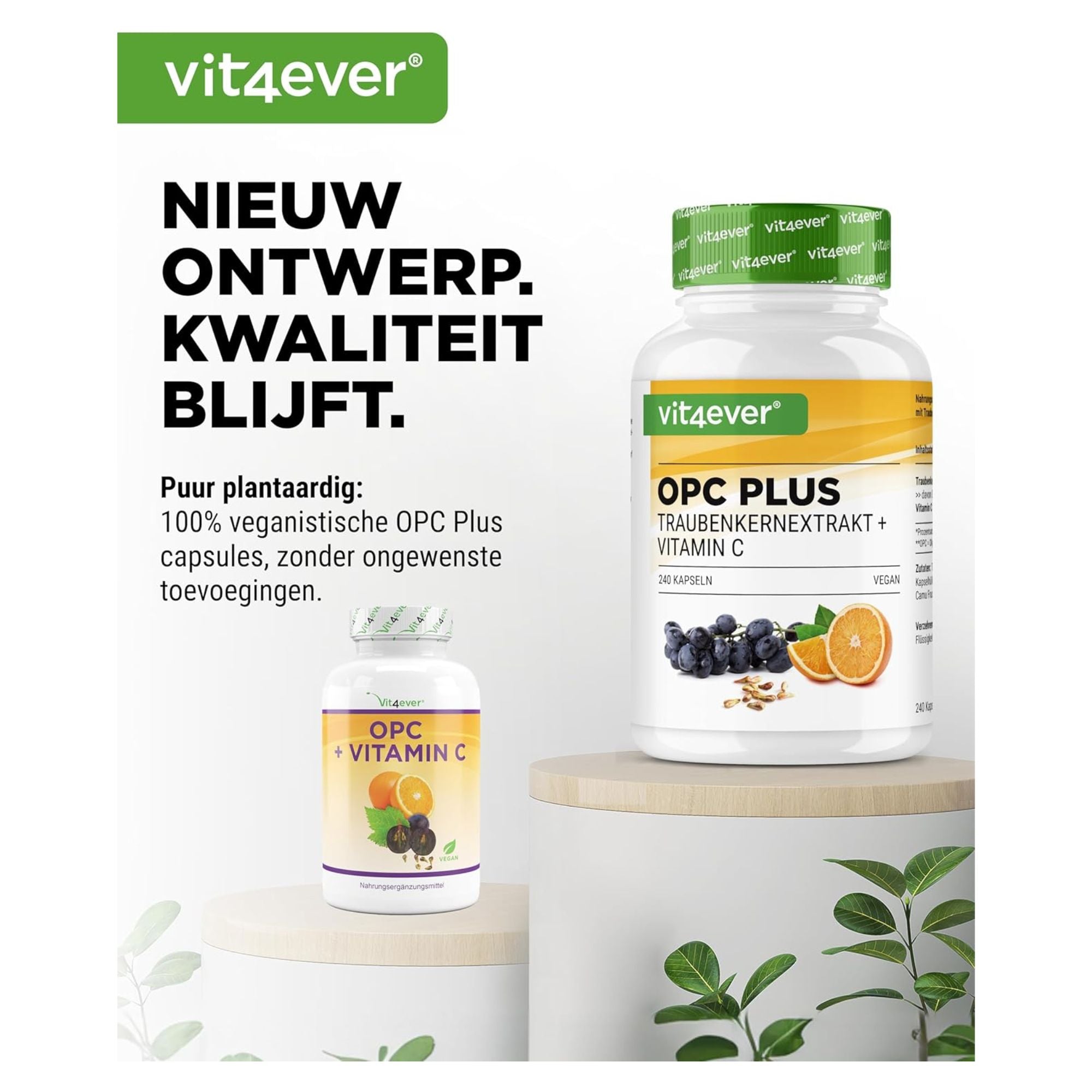 vit4ever Traubenkernextrakt + Vitamin C